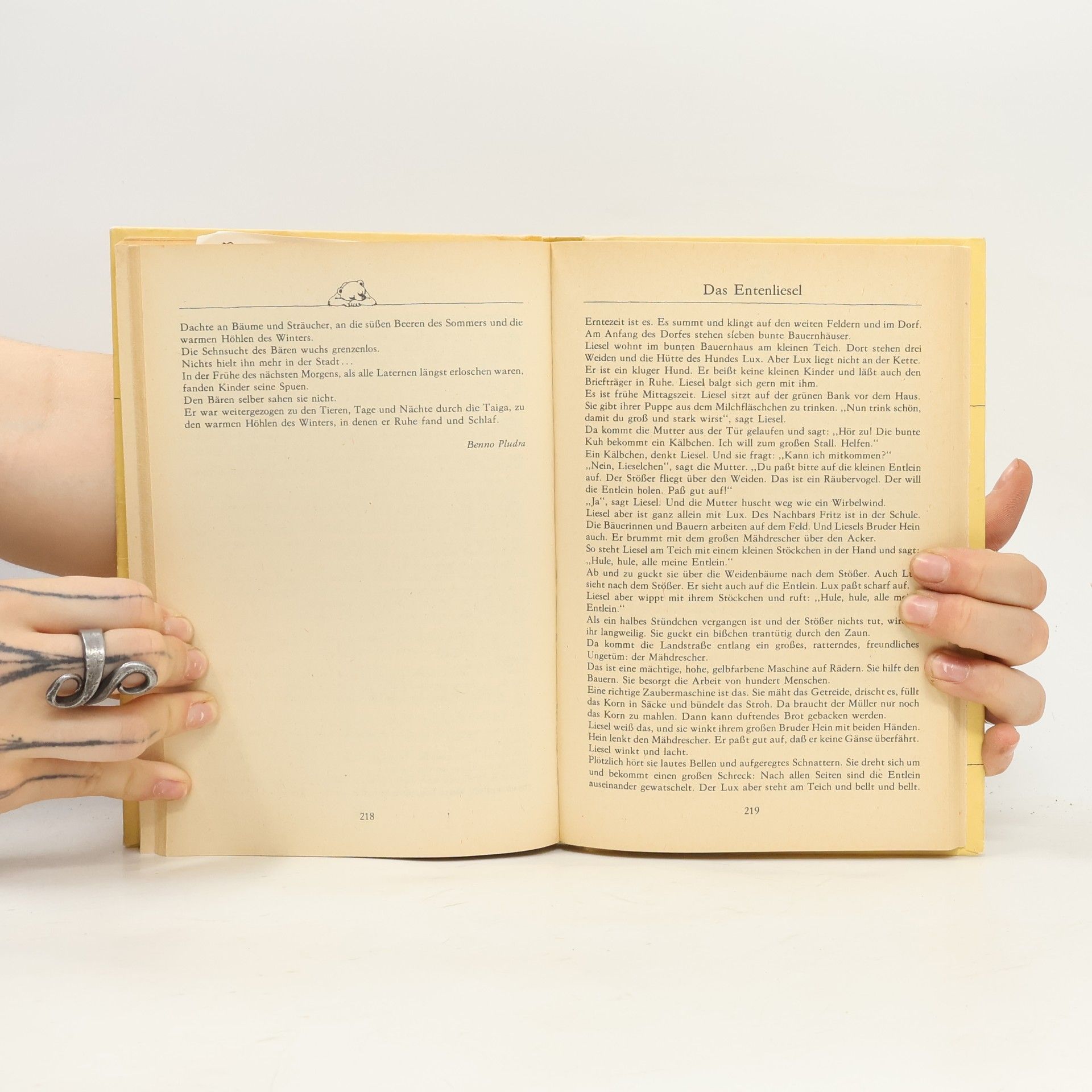 Autorenkollektiv Erzählungen für Vorschulkinder
