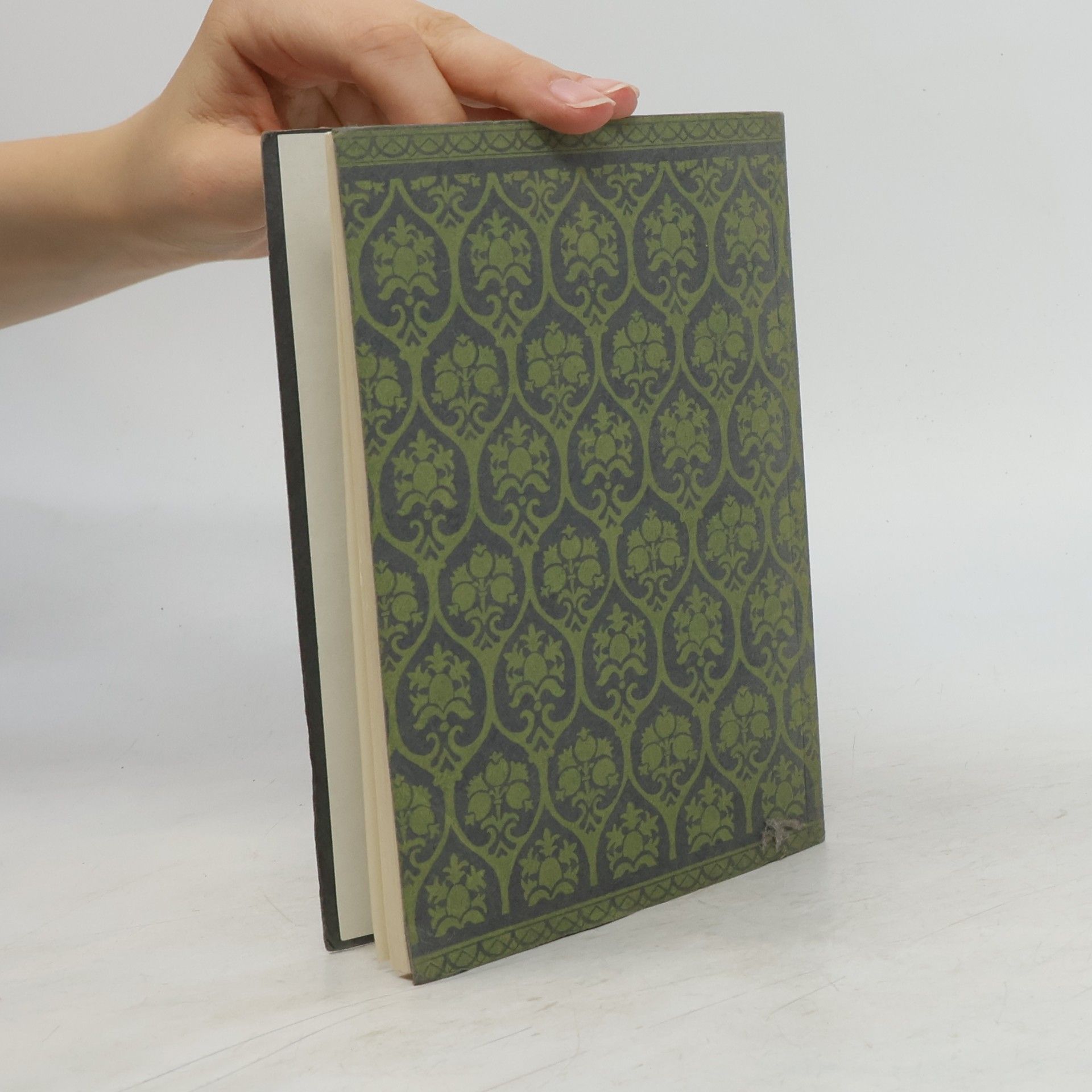 Gustave Flaubert Julian. Herodias. Zwei Novellen