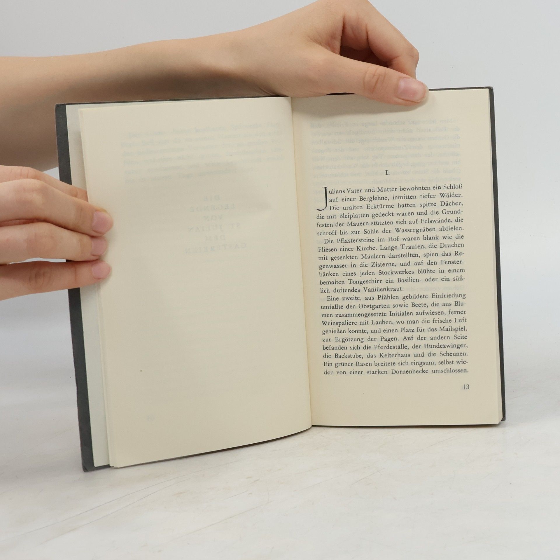Gustave Flaubert Julian. Herodias. Zwei Novellen