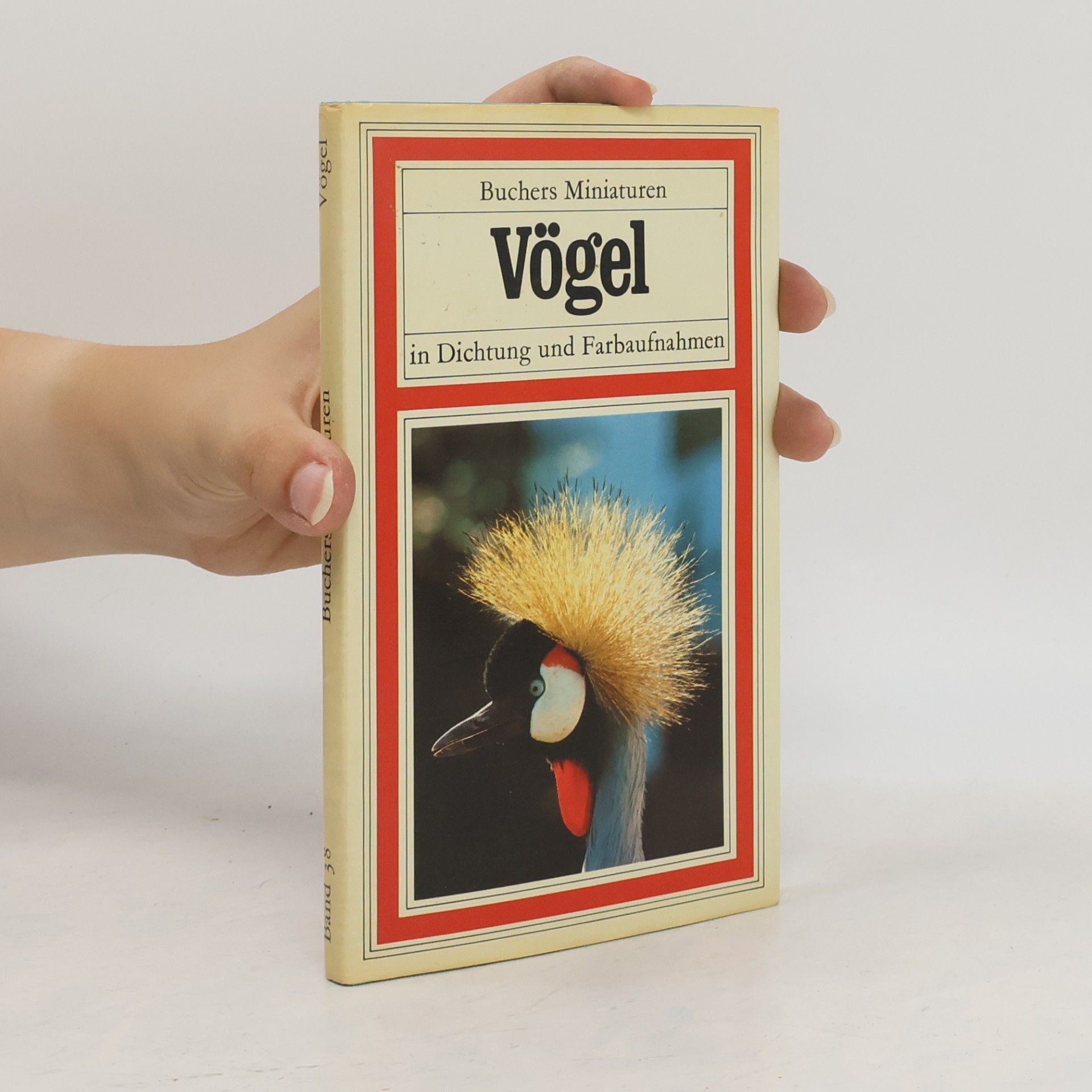 Autorenkollektiv Vögel in Dichtung und Farbaufnahmen