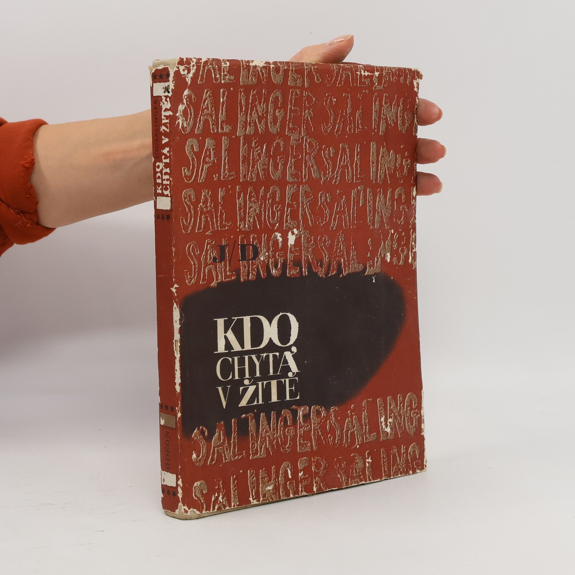 J. D. Salinger Kdo chytá v žitě
