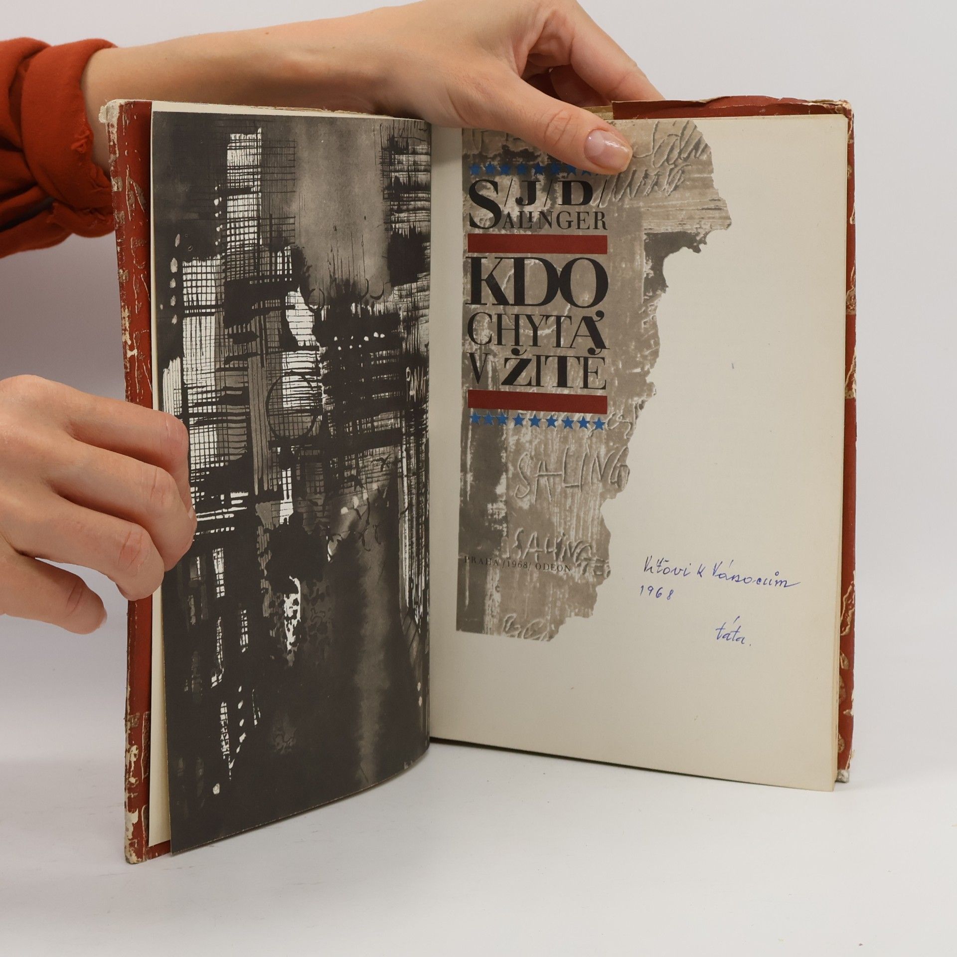 J. D. Salinger Kdo chytá v žitě