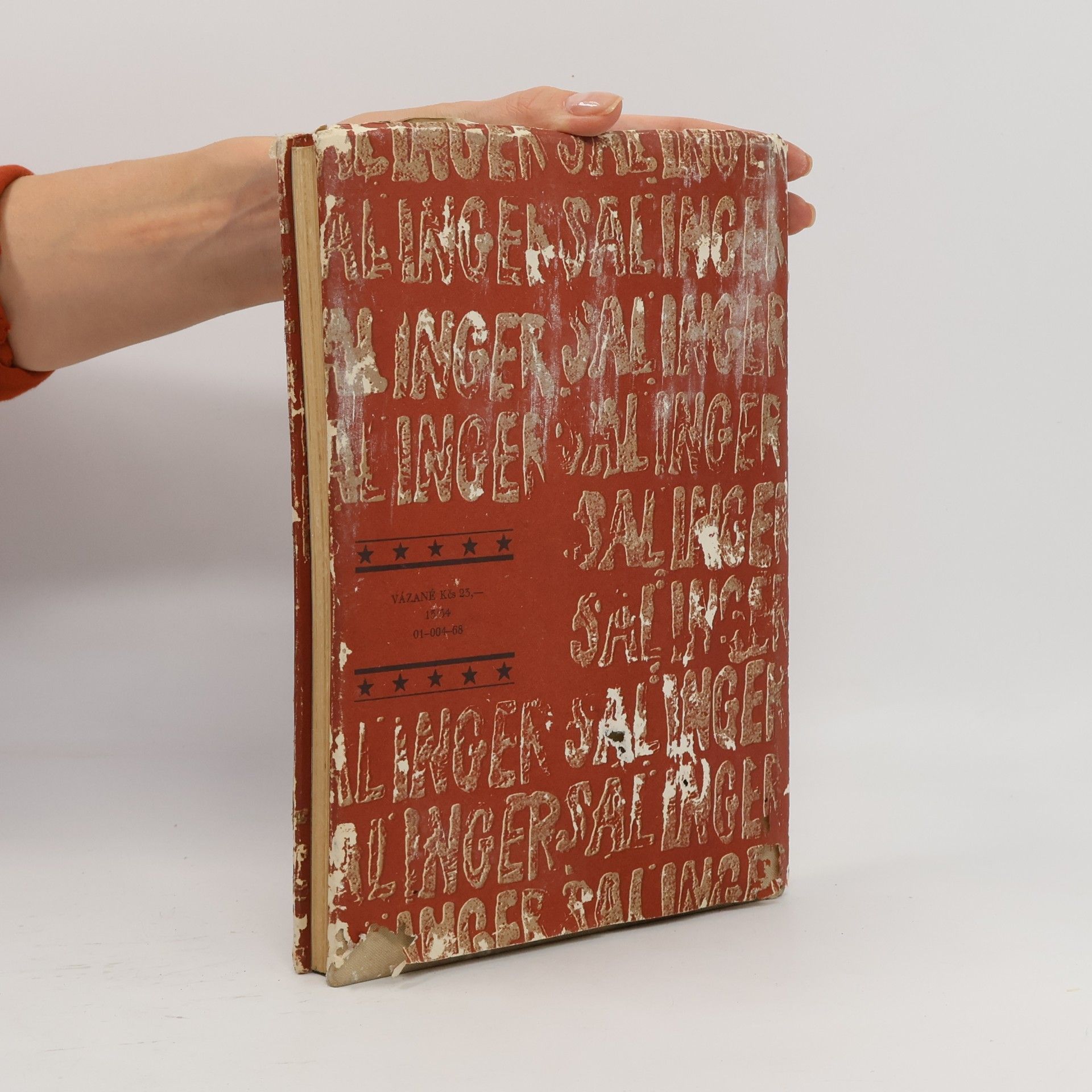 J. D. Salinger Kdo chytá v žitě