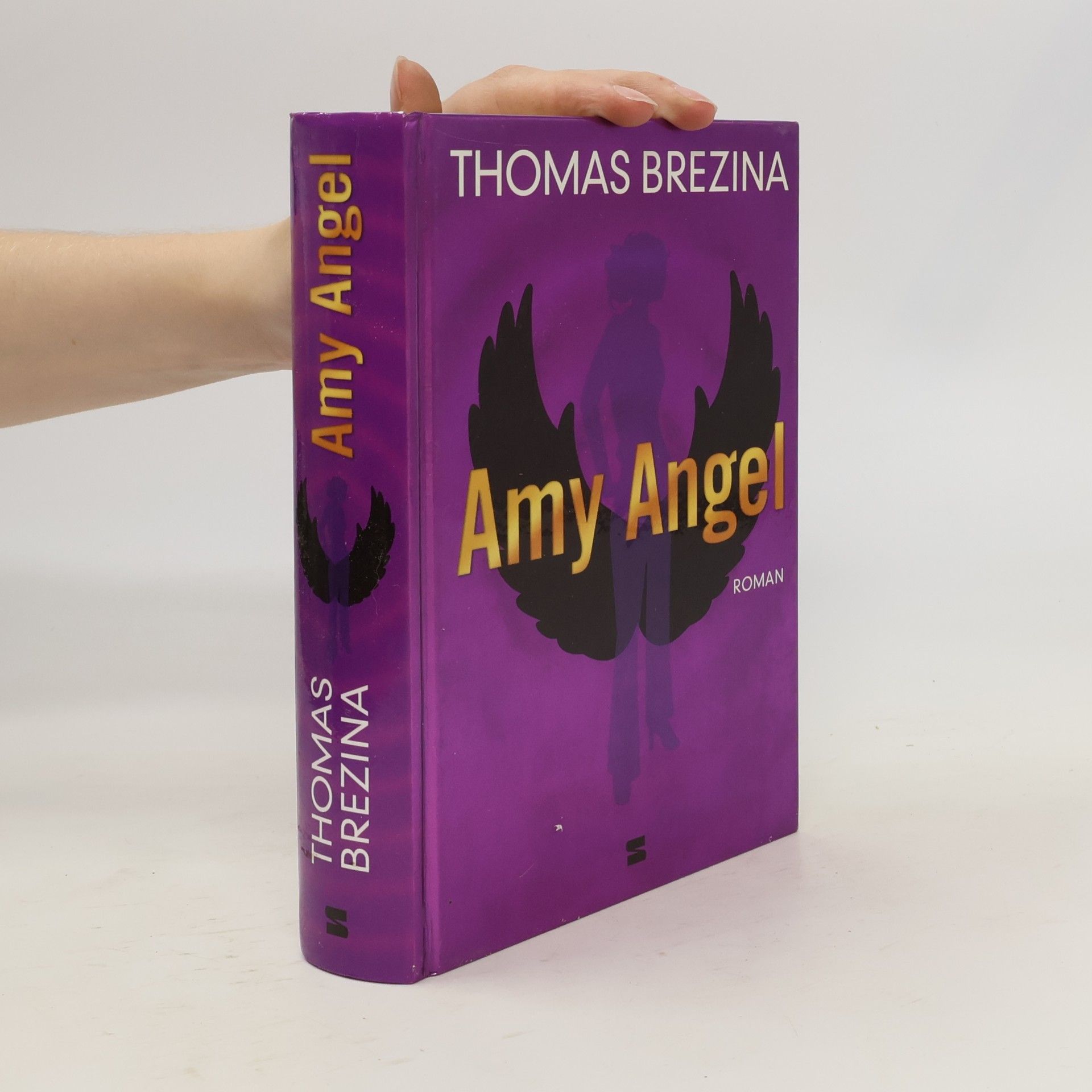 Thomas Brezina Amy Angel