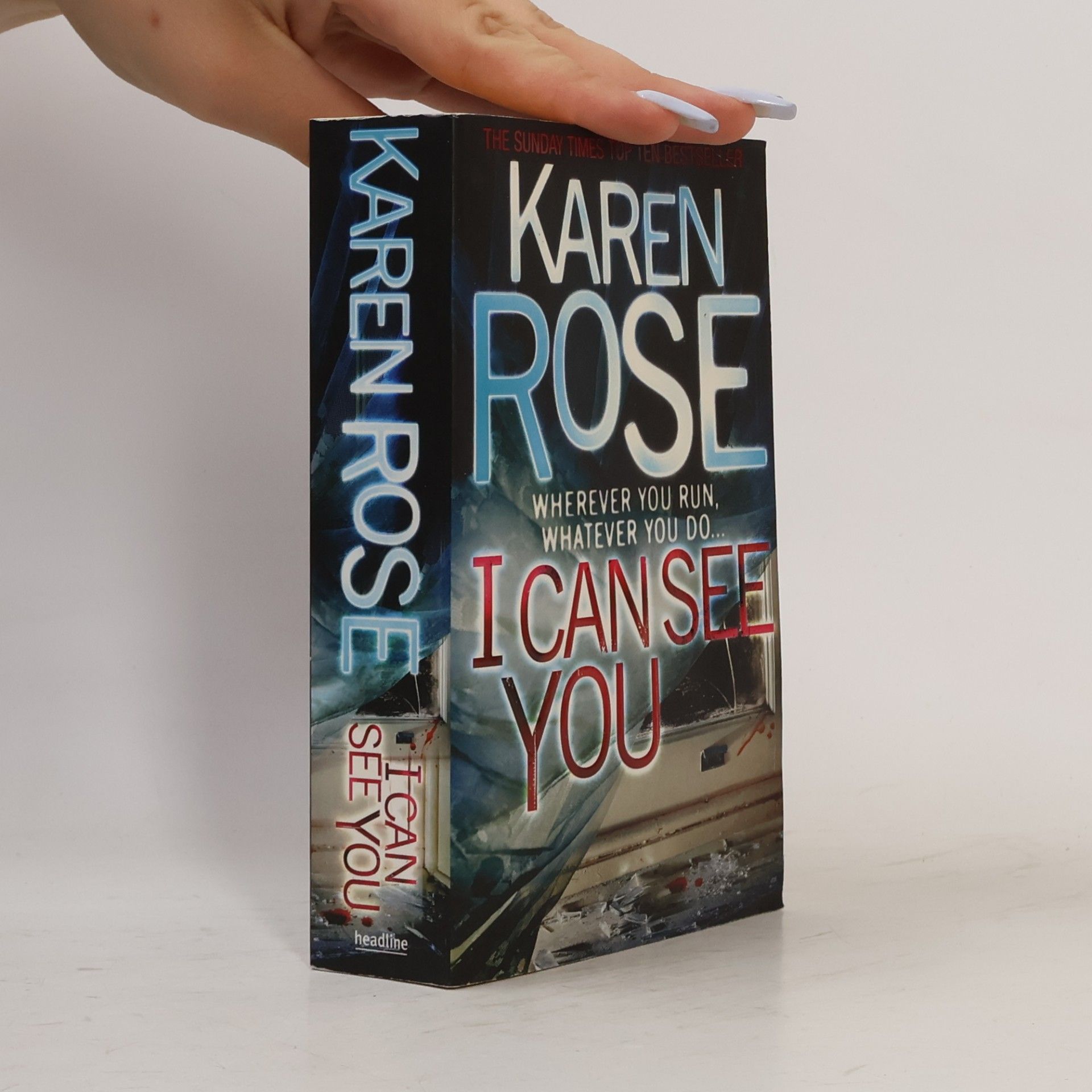 Karen Rose I Can See You