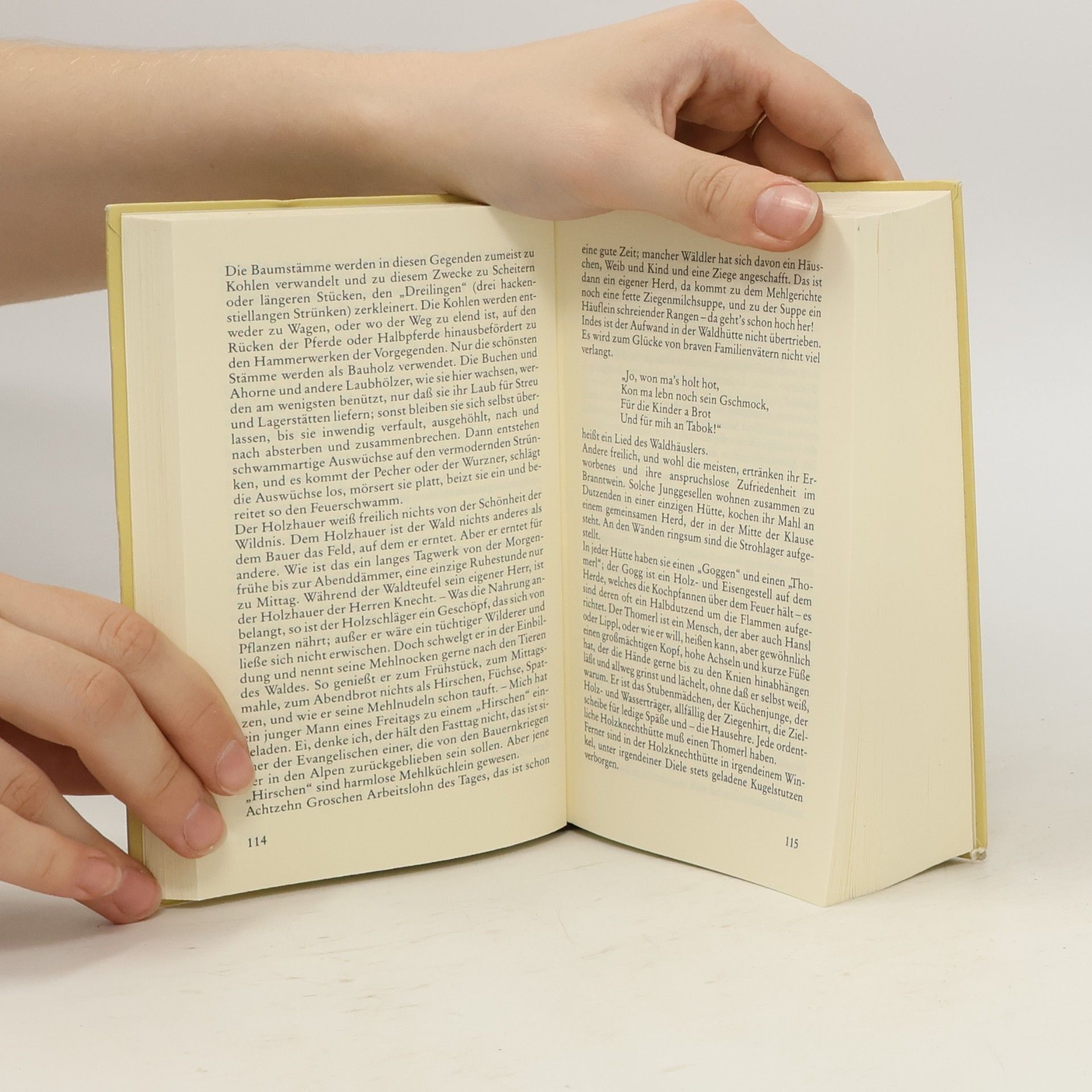 Peter Rosegger Gesammelte Werke 1. Die Schriften des Waldschulmeisters Heidepeters Gabriel