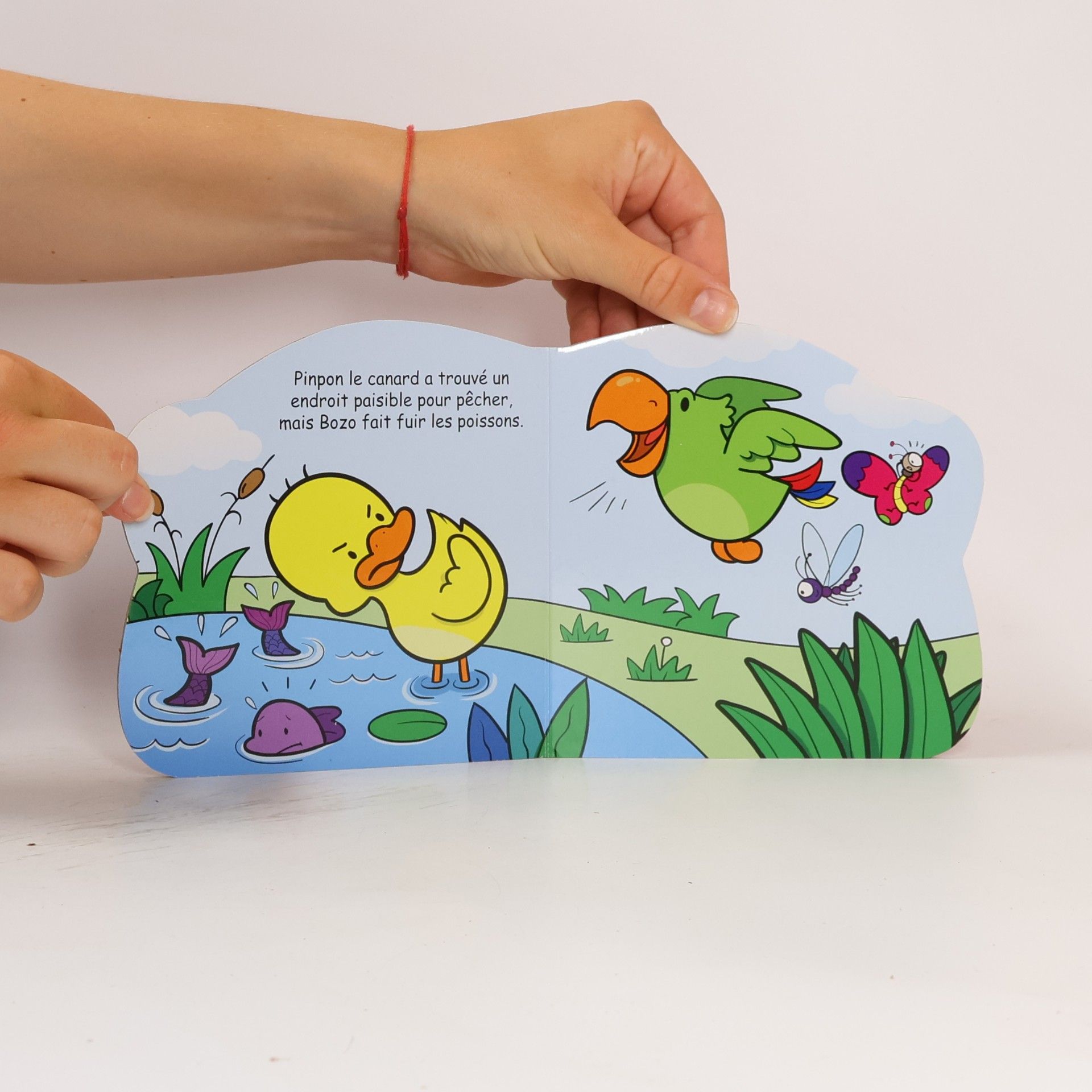 Autorenkollektiv Bozo le perroquet
