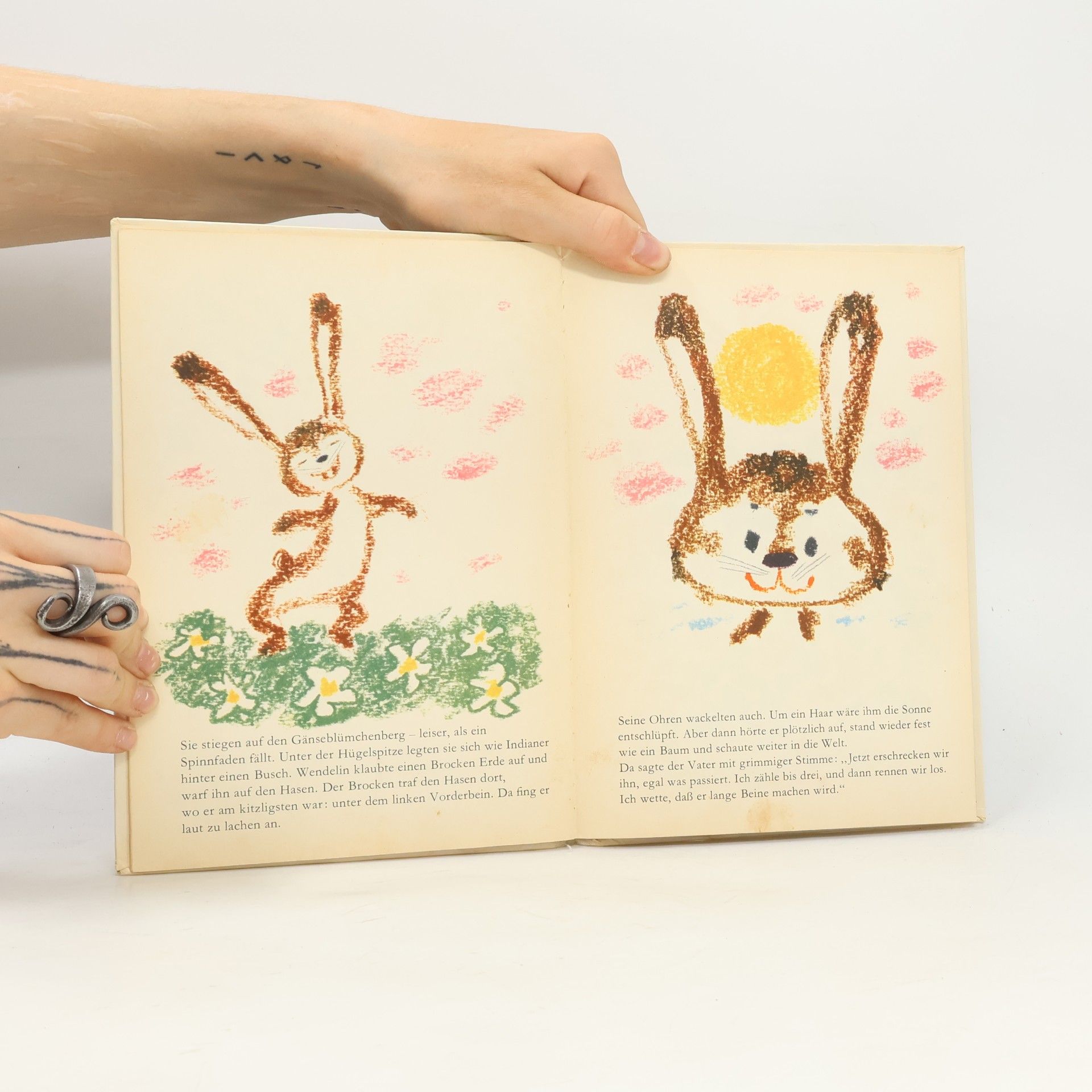 AA.VV. Der Räuberhase