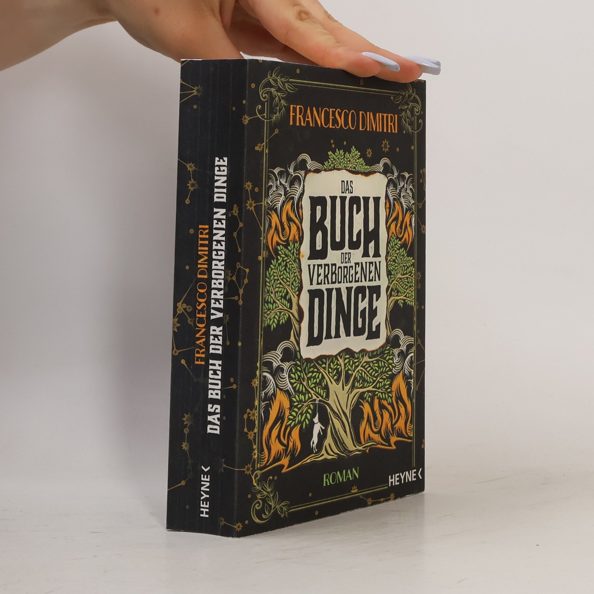 Francesco Dimitri Das Buch der verborgenen Dinge