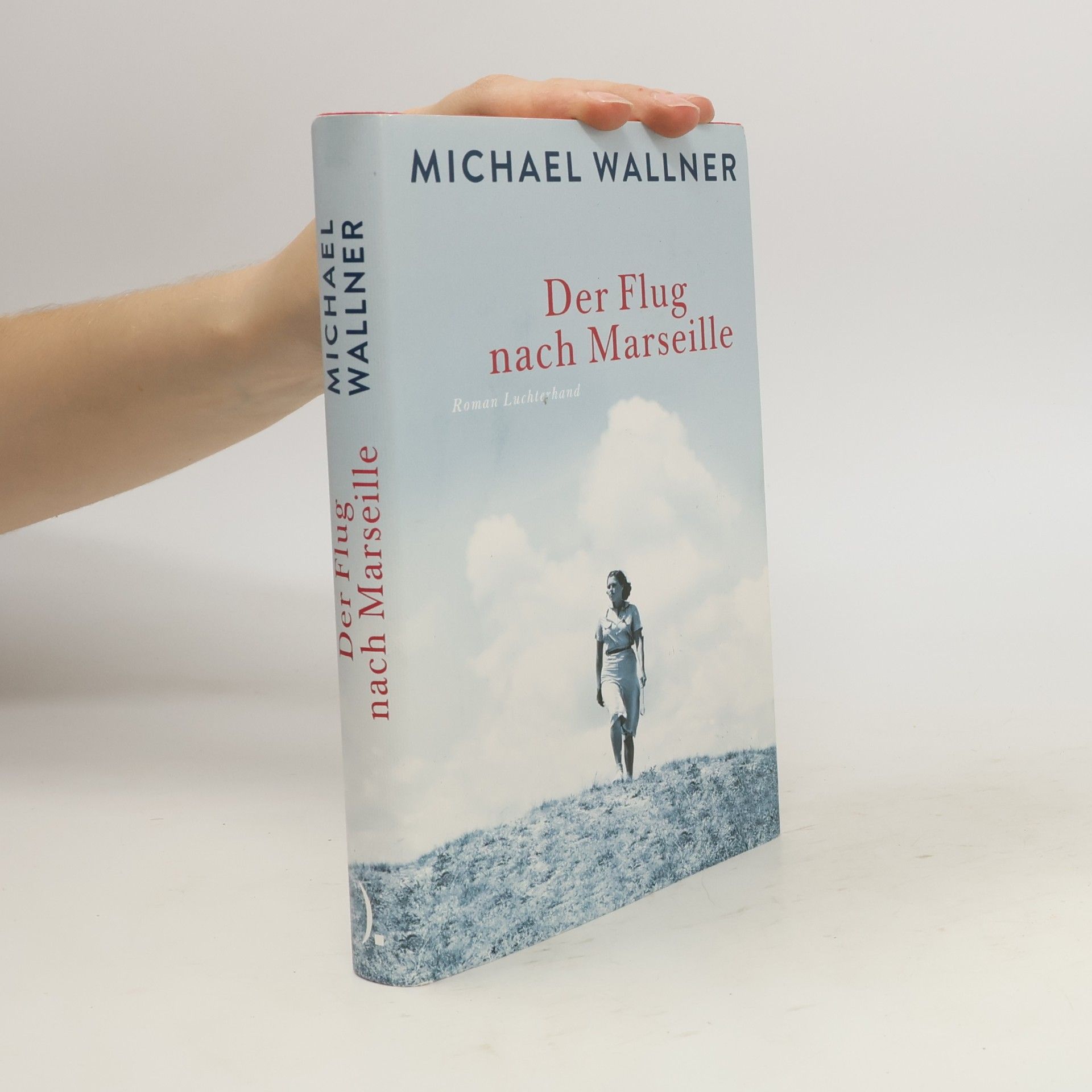 Michael Wallner Der Flug nach Marseille