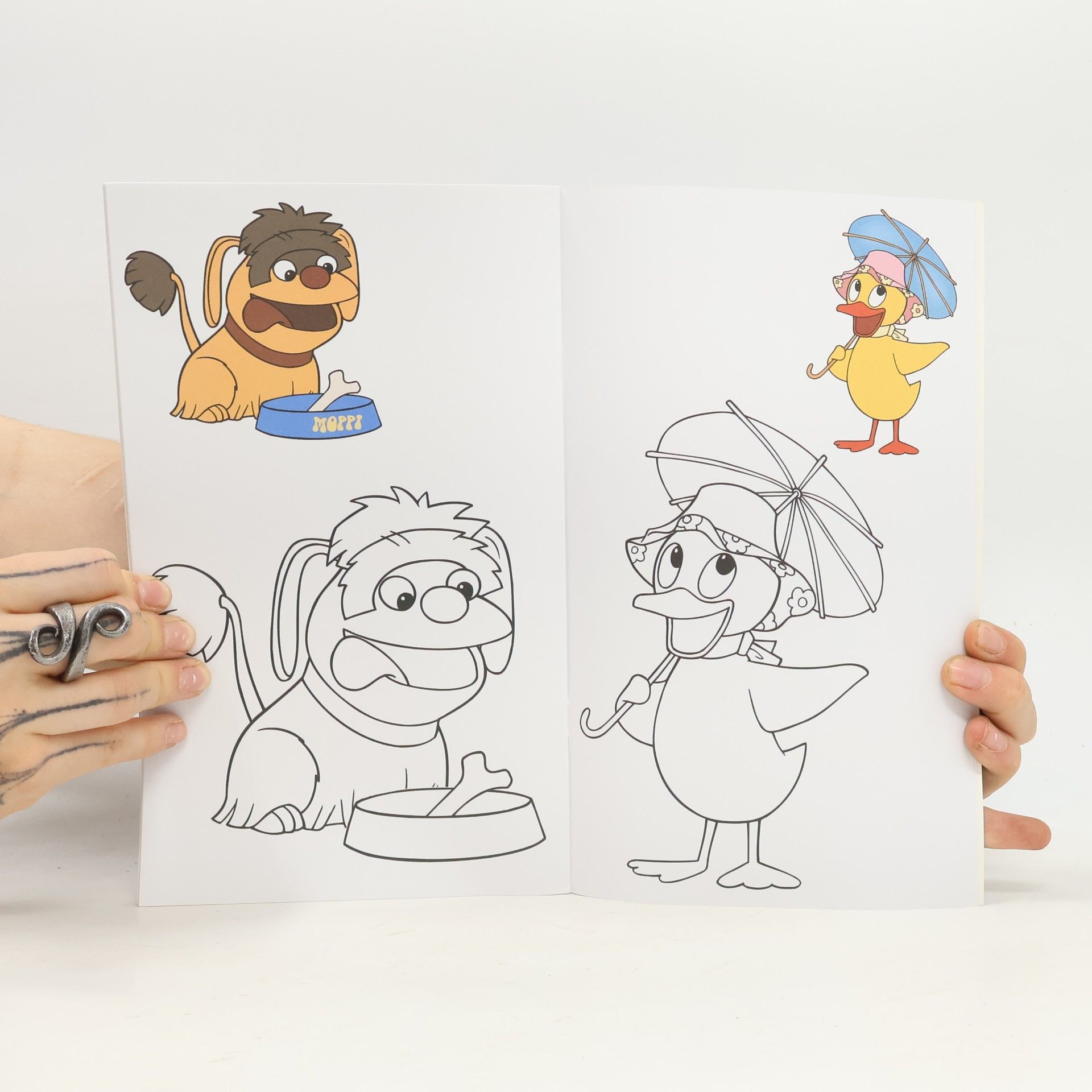 Unser Sandmännchen und seine Freunde