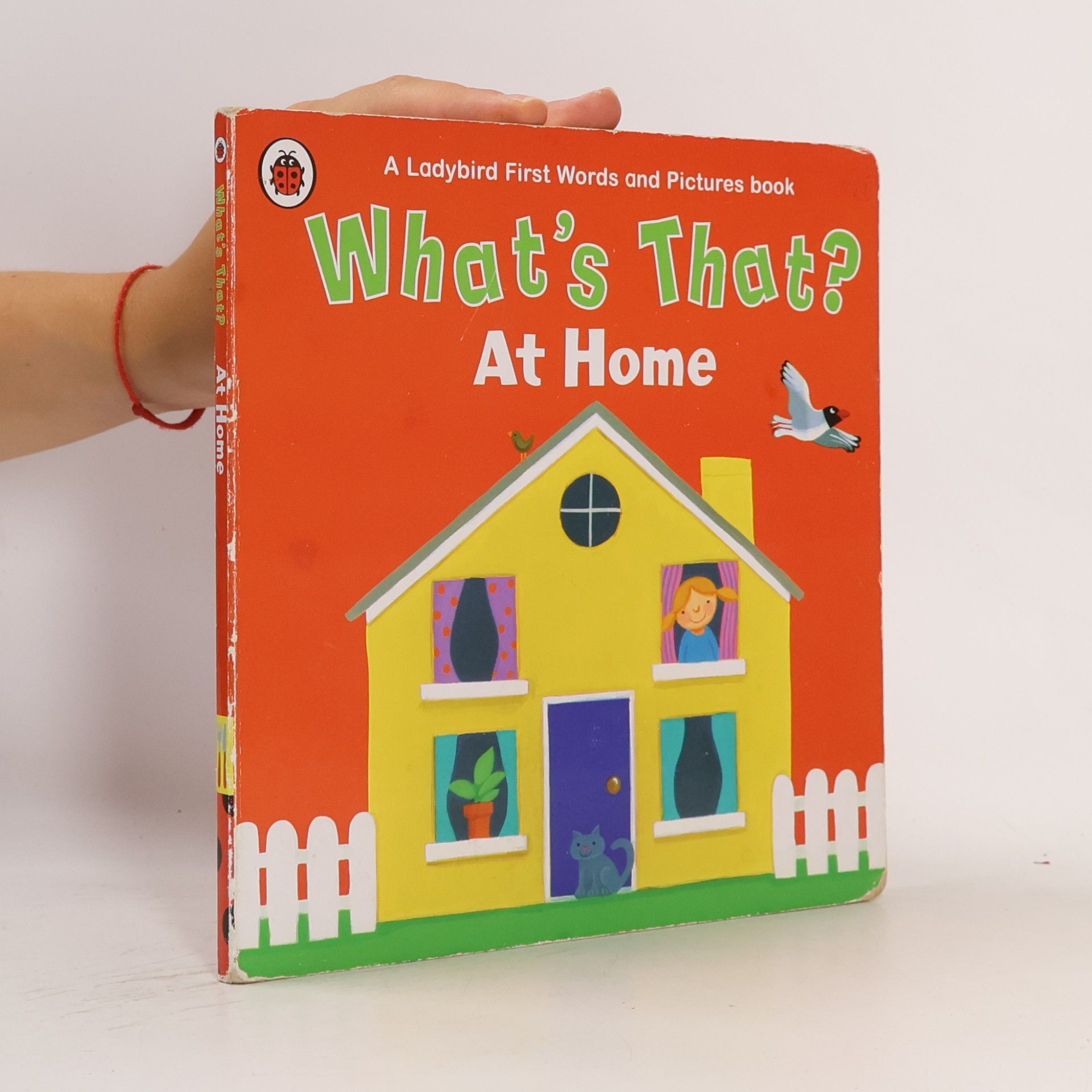 What's That? At Home A Ladybird First Words And Pictures Book