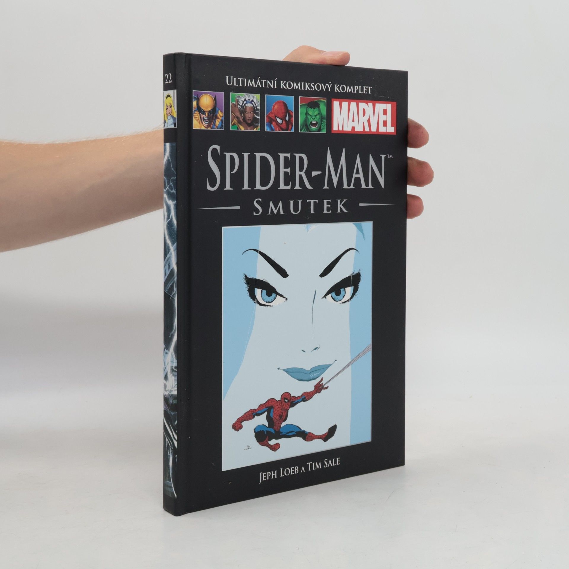 Jeph Loeb Spider-Man. Smutek