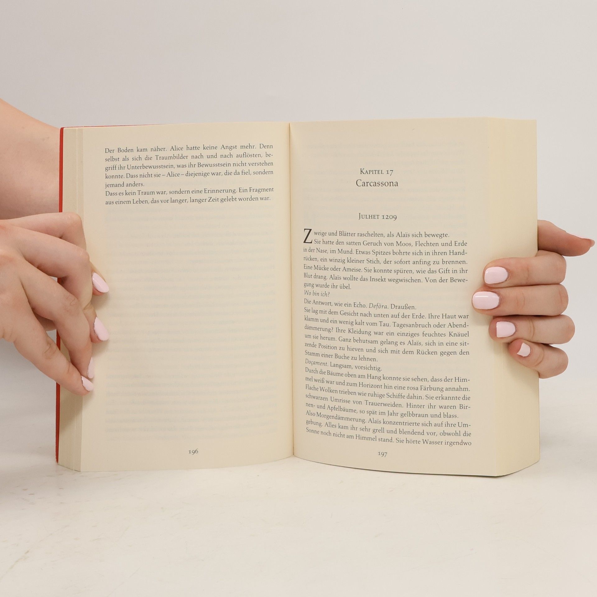 Kate Mosse Das verlorene Labyrinth