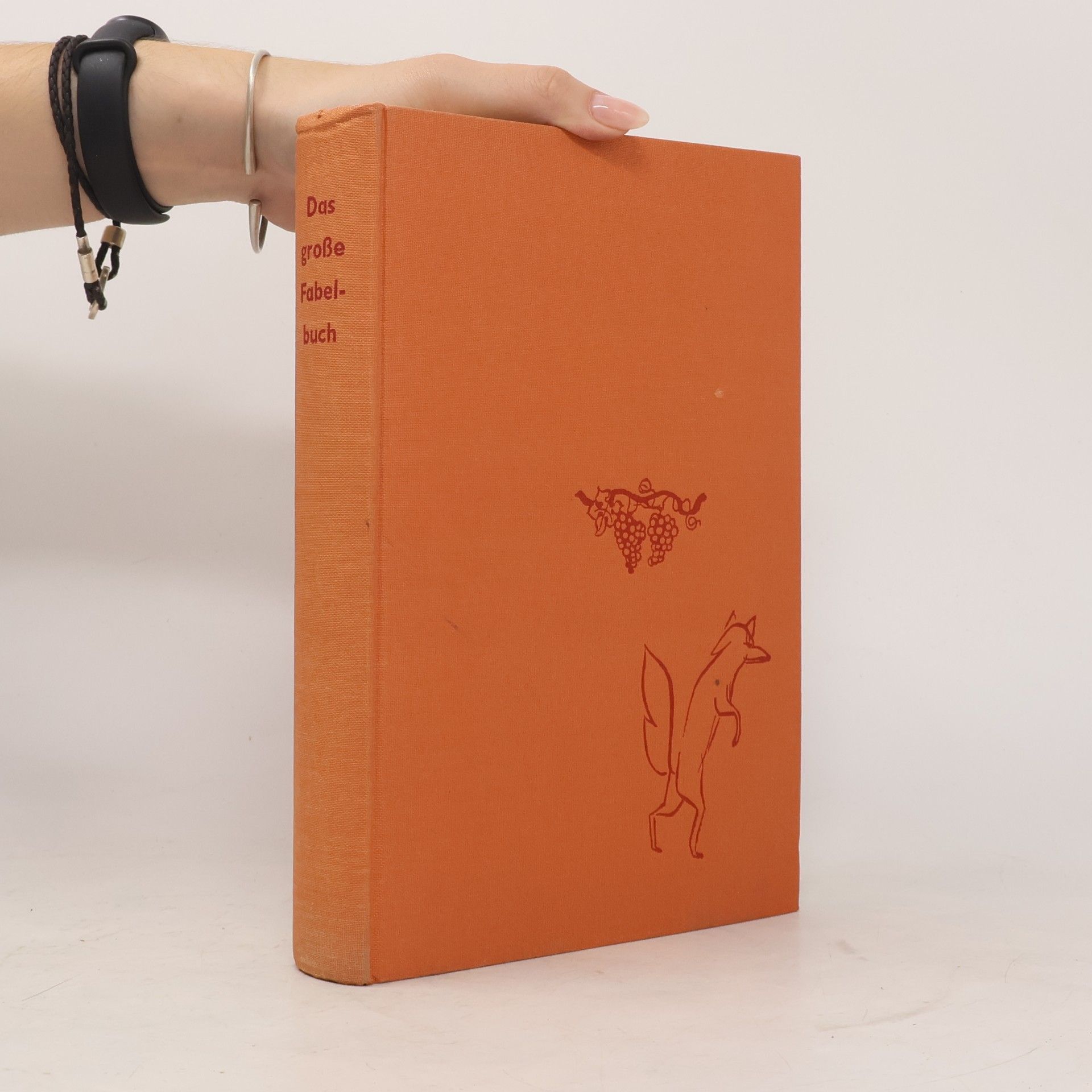 Auteurscollectief Das grosse Fabelbuch