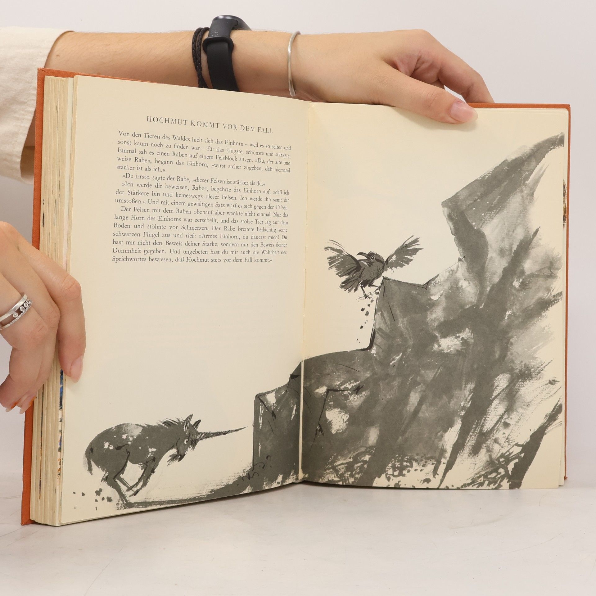 Autorenkollektiv Das grosse Fabelbuch