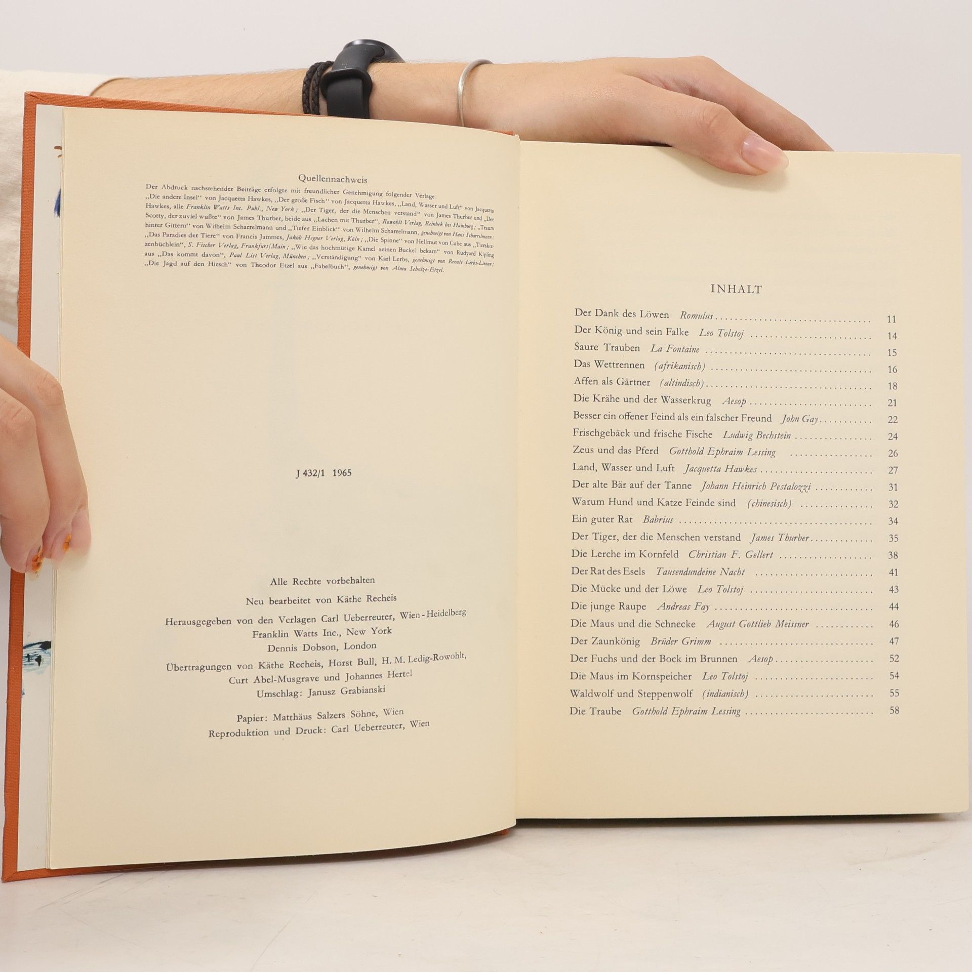 Autorenkollektiv Das grosse Fabelbuch