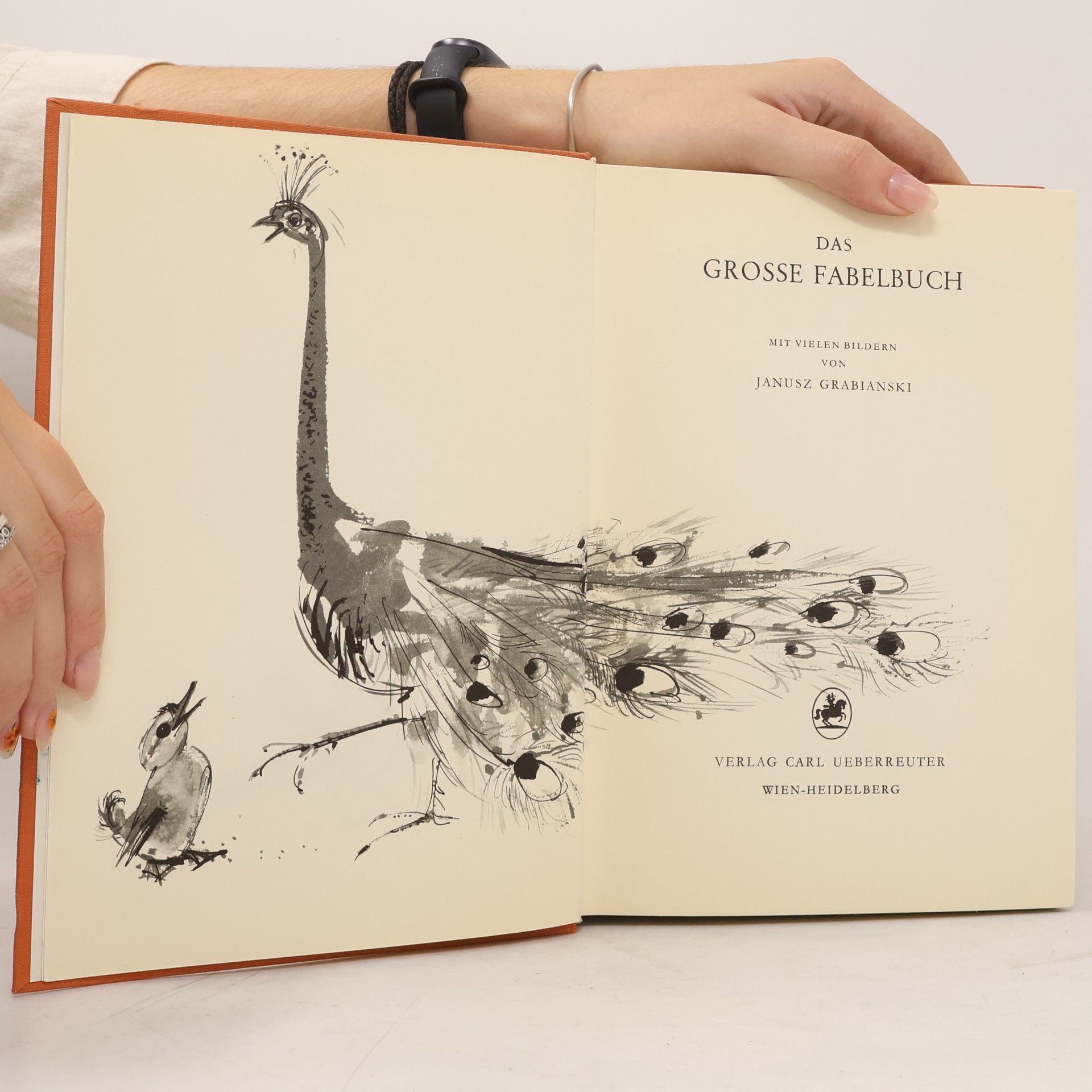 Autorenkollektiv Das grosse Fabelbuch