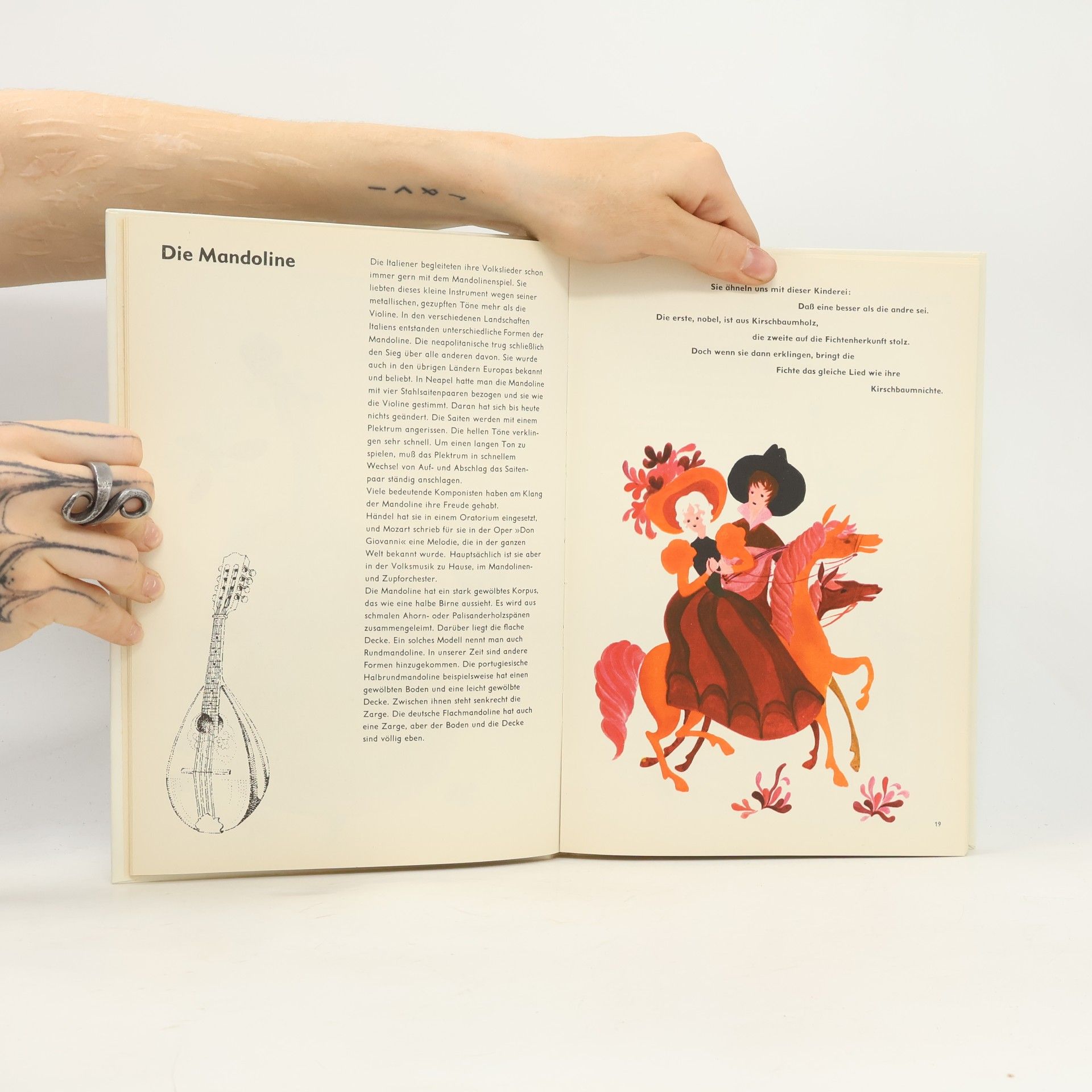 Helmut Zeraschi Der Esel, die Großmutter und andere Musik instrumente