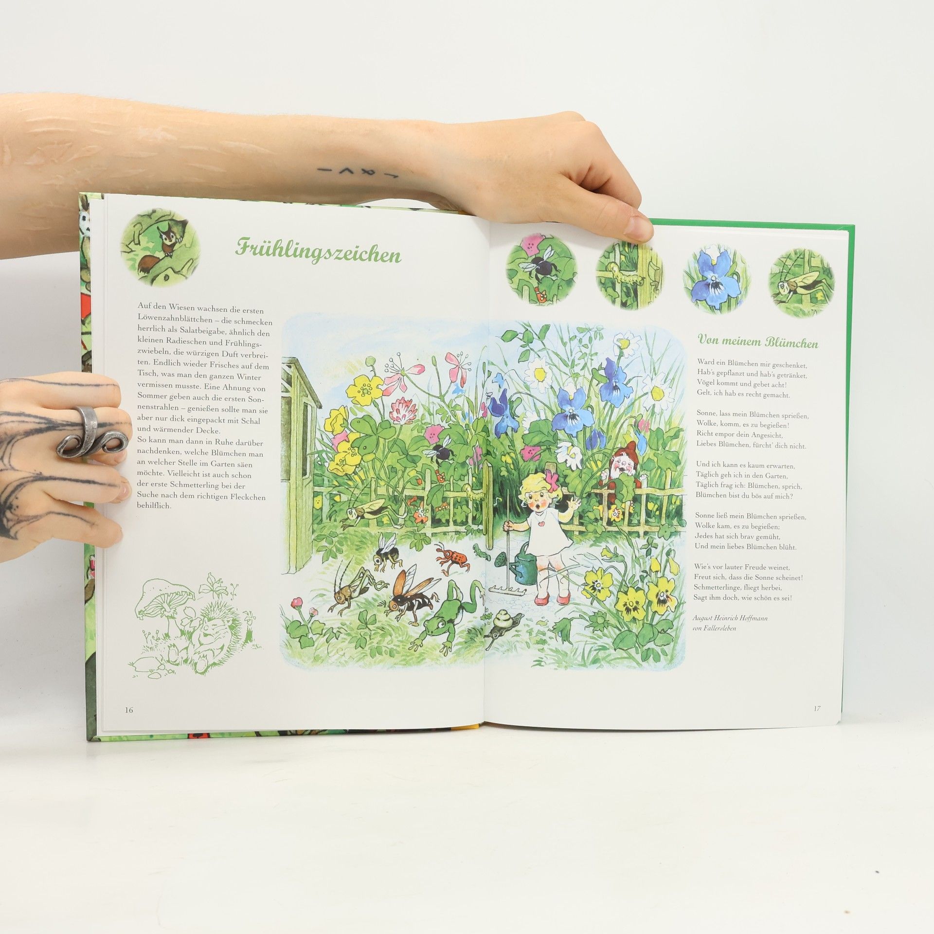 Claire Singer Das große Fritz Baumgarten Frühlingsbuch. Ein Hausbuch für die ganze Familie