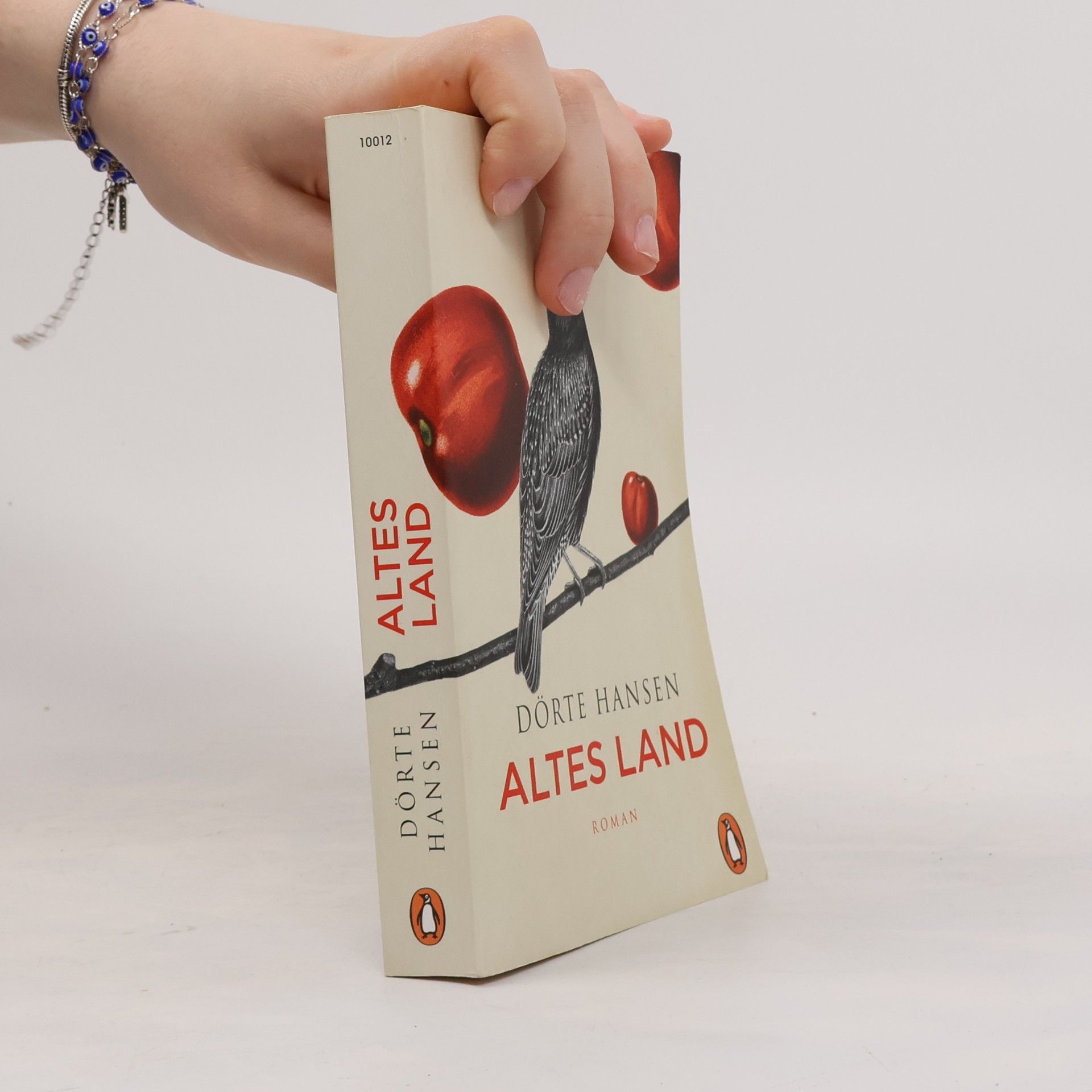 Dörte Hansen Altes Land