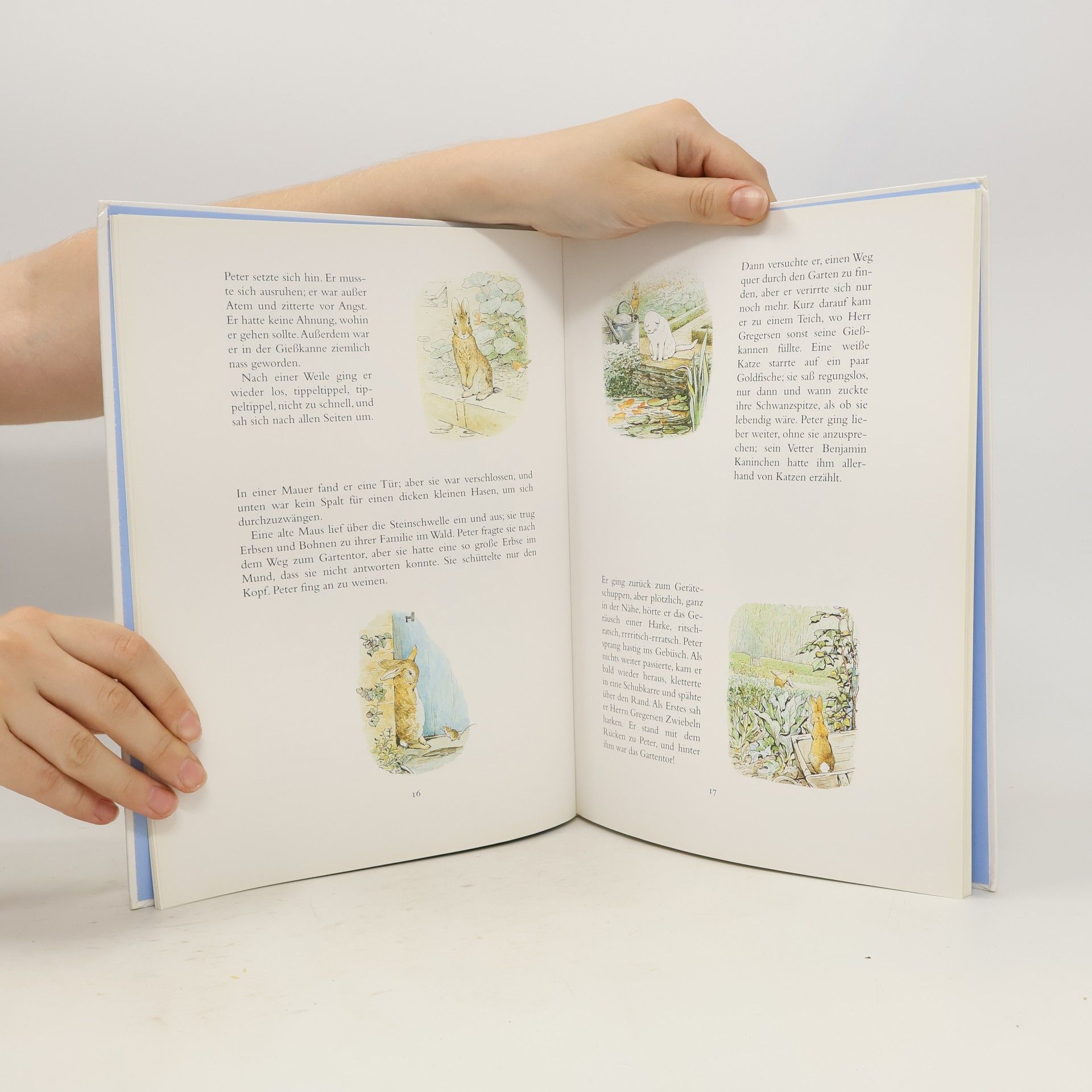 Beatrix Potter Die gesammelten Abenteuer von Peter Hase