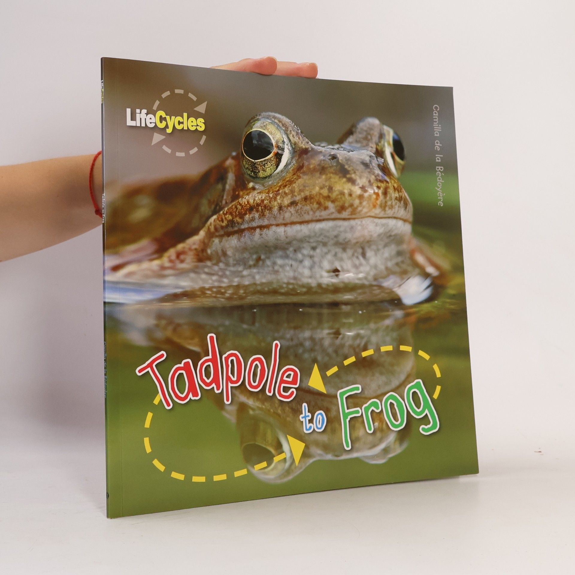 Camilla De la Bédoyère Tadpole to Frog