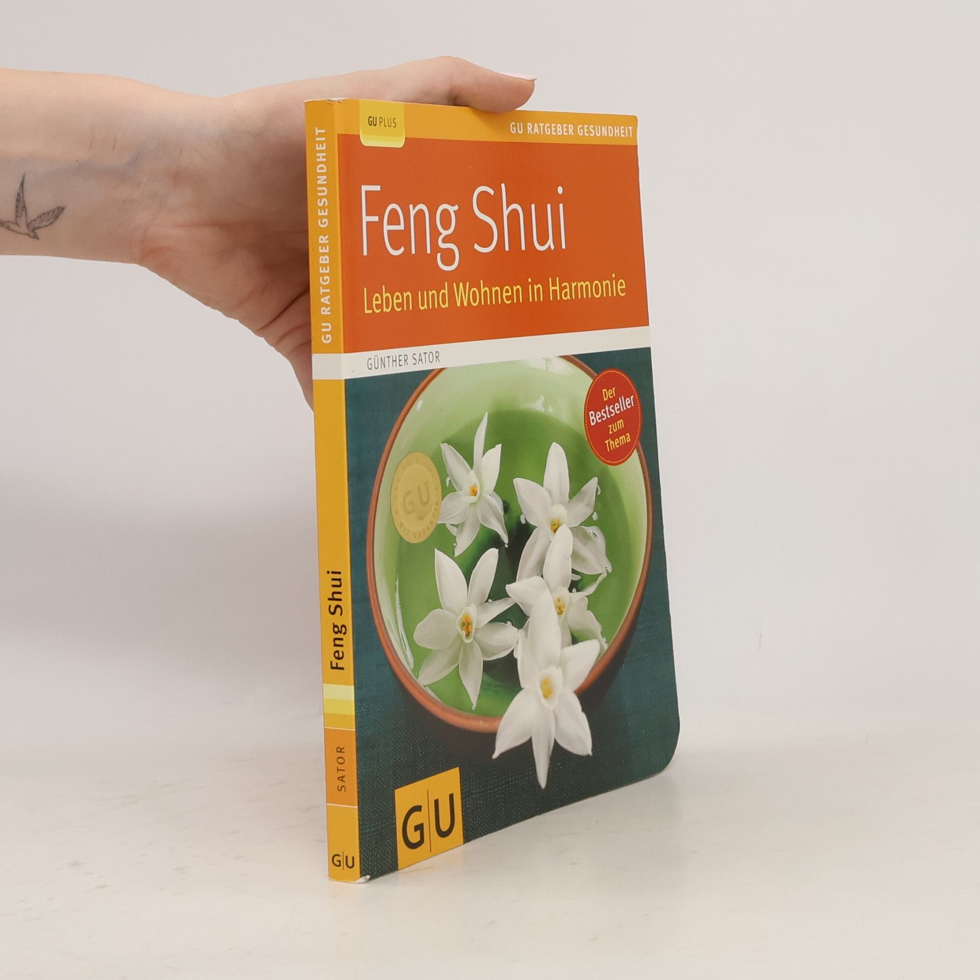 Günther Sator Feng-Shui
