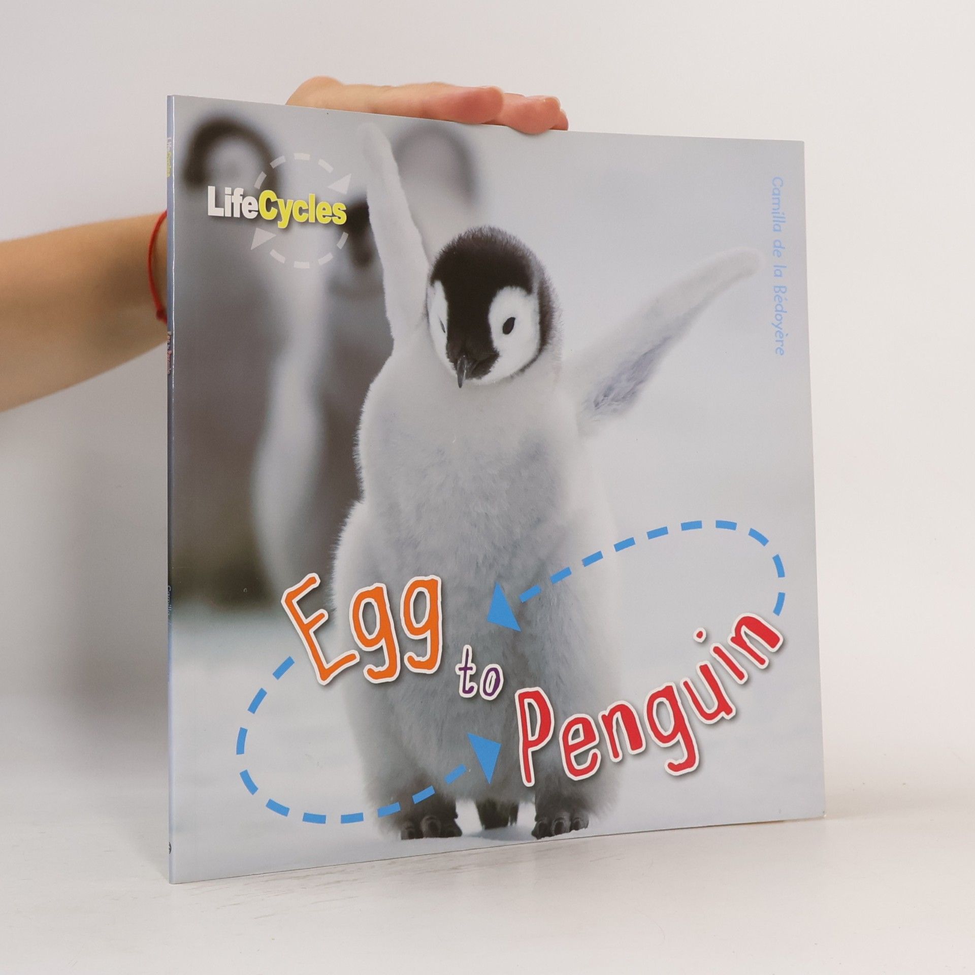 Camilla De la Bédoyère Egg to Penguin Lifecycles