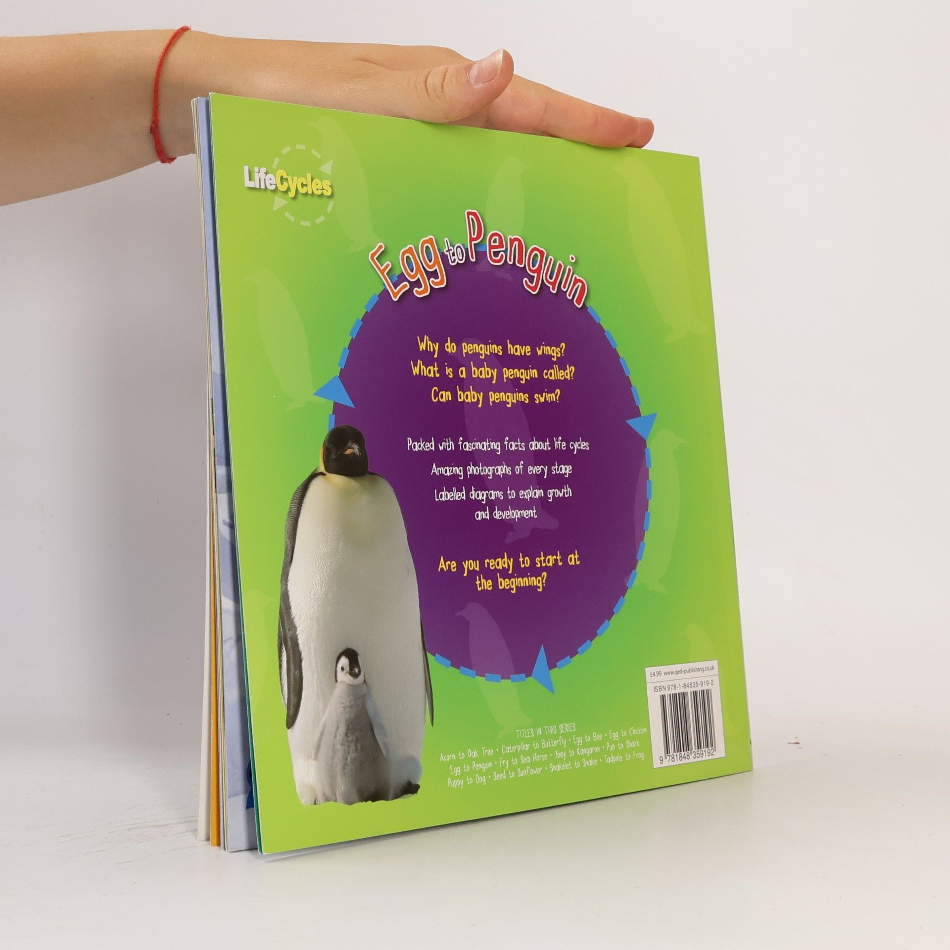 Camilla De la Bédoyère Egg to Penguin Lifecycles