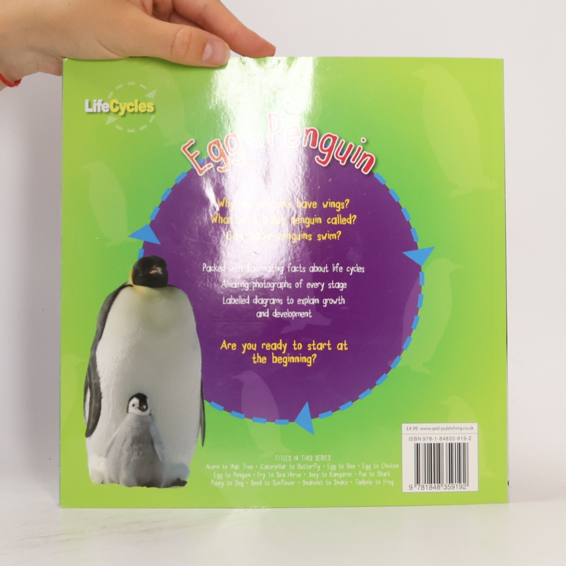 Camilla De la Bédoyère Egg to Penguin Lifecycles