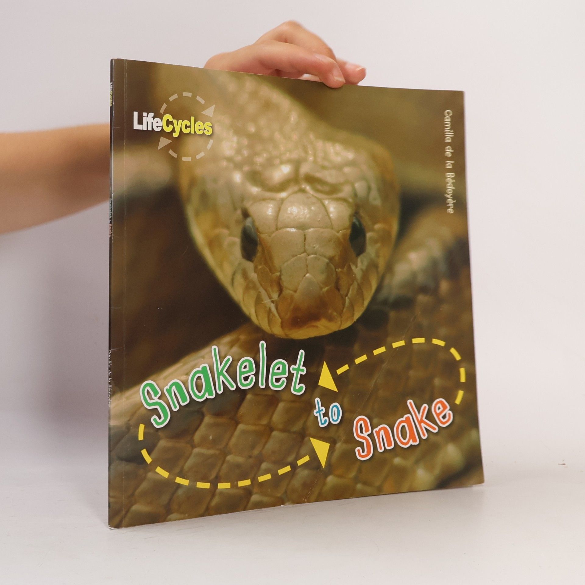 Camilla De la Bédoyère LifeCycles: Snakelet to Snake
