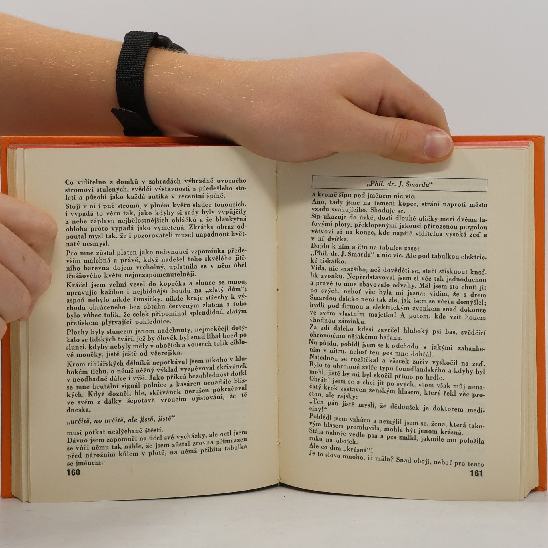 Kolektiv autorů Výbor z krásné literatury Československé 6