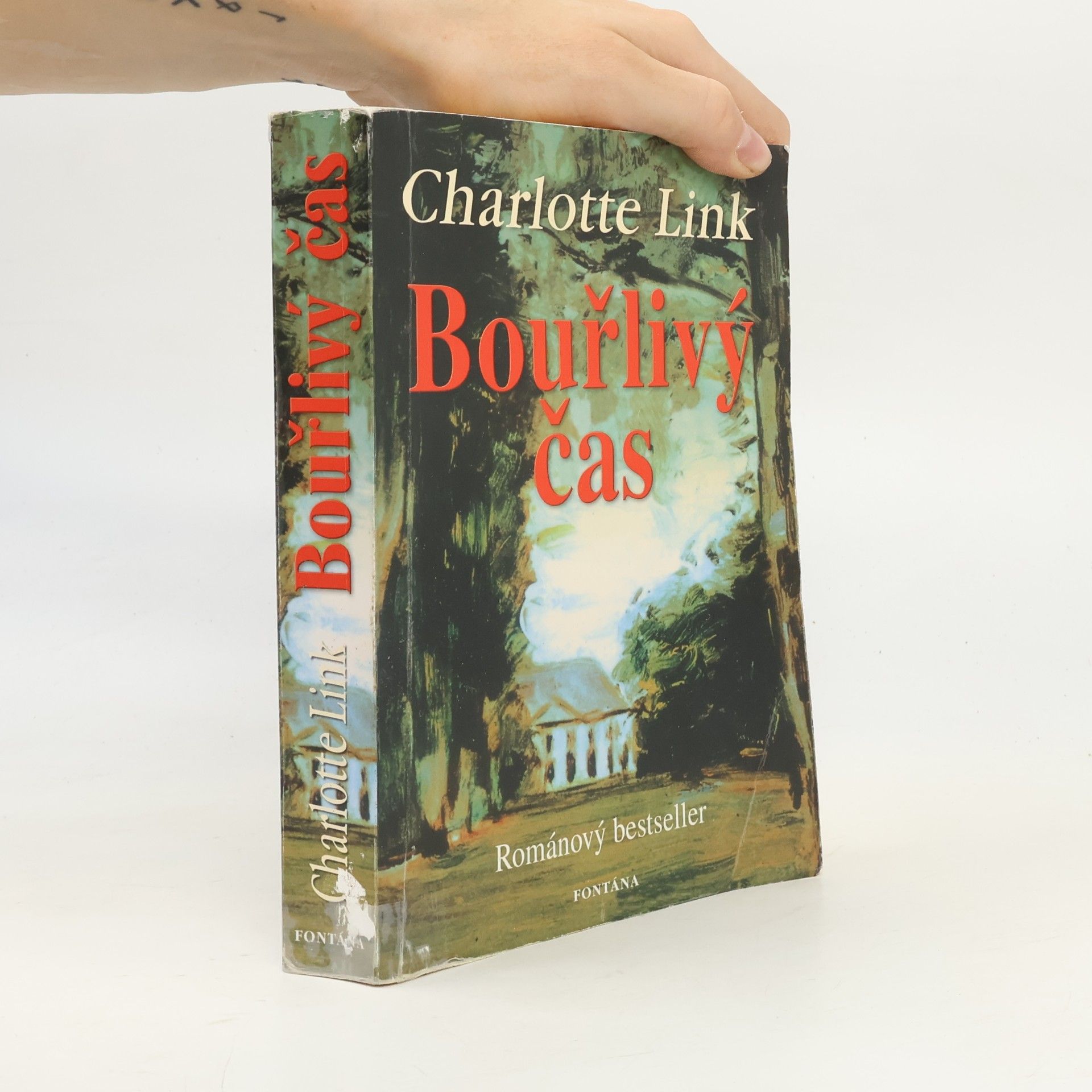 Charlotte Link Bouřlivý čas