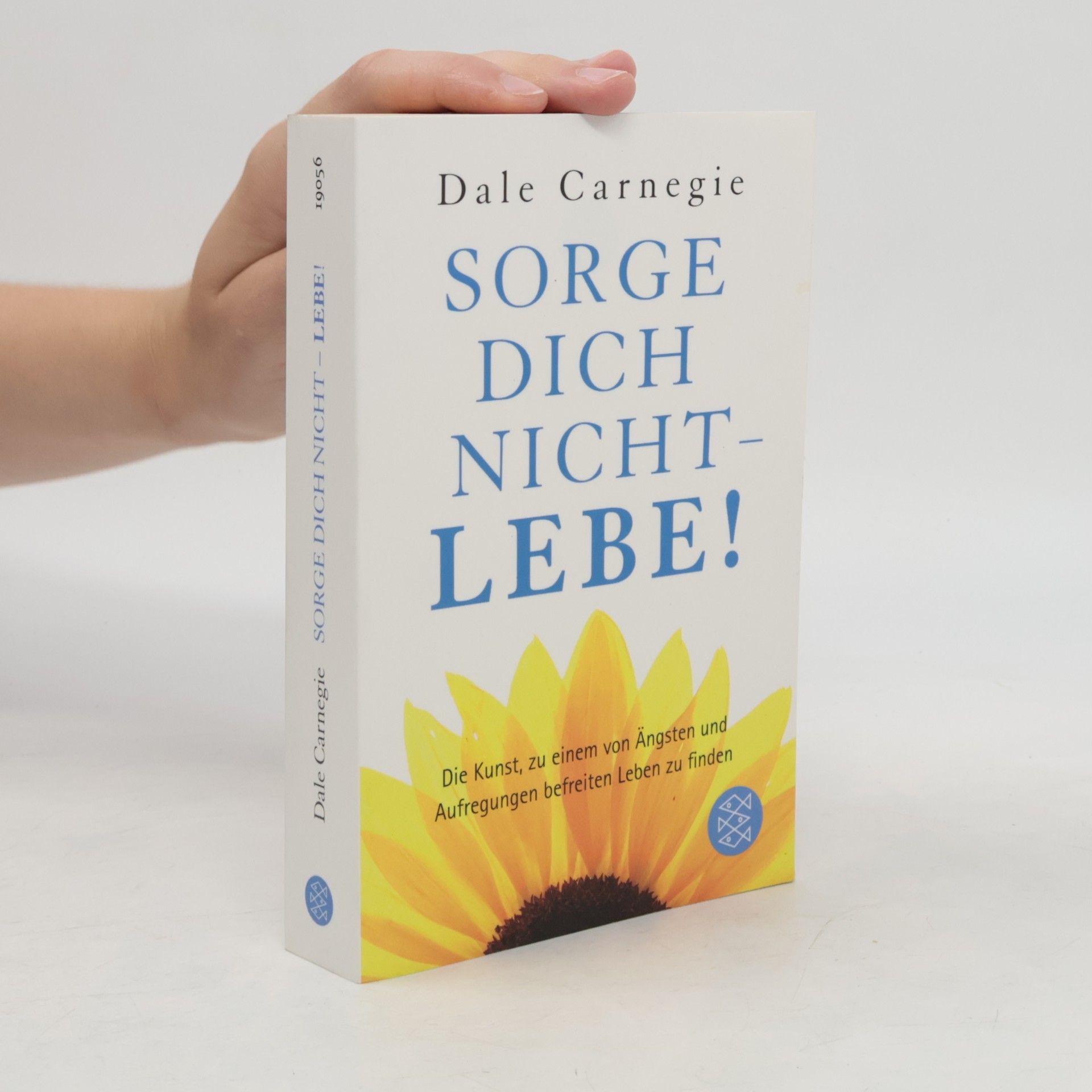 Dale Carnegie Sorge dich nicht - lebe!