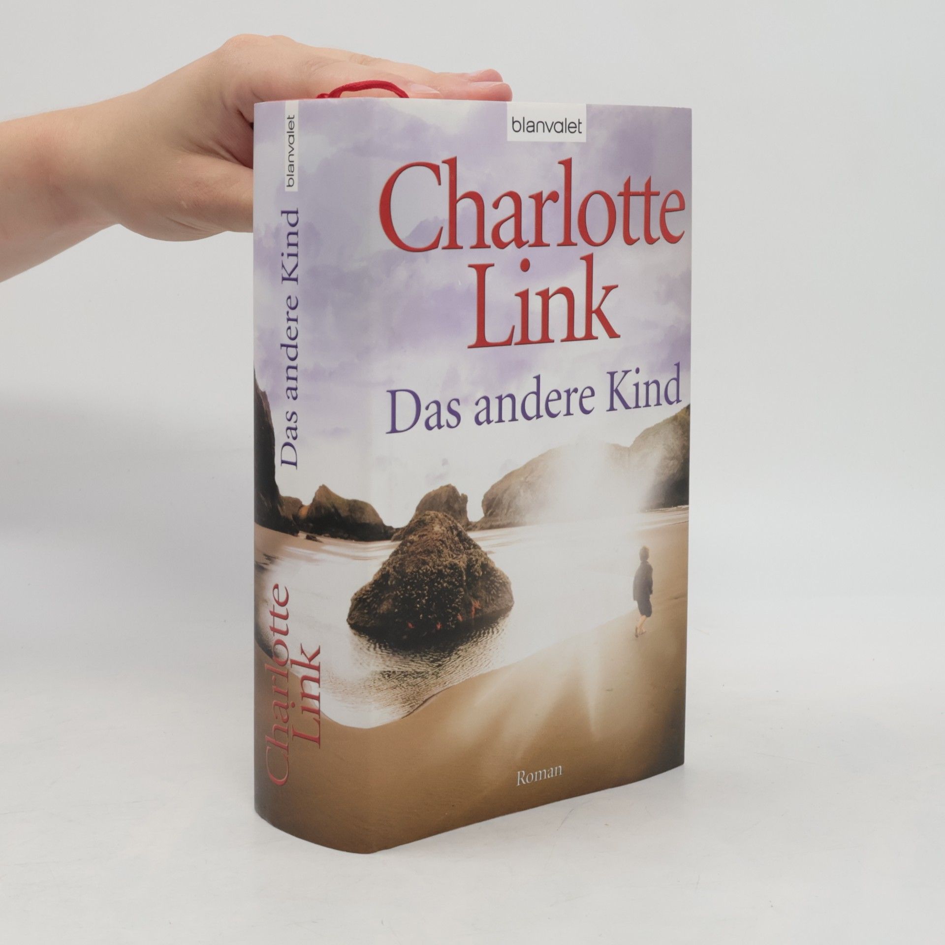 Charlotte Link Das andere Kind
