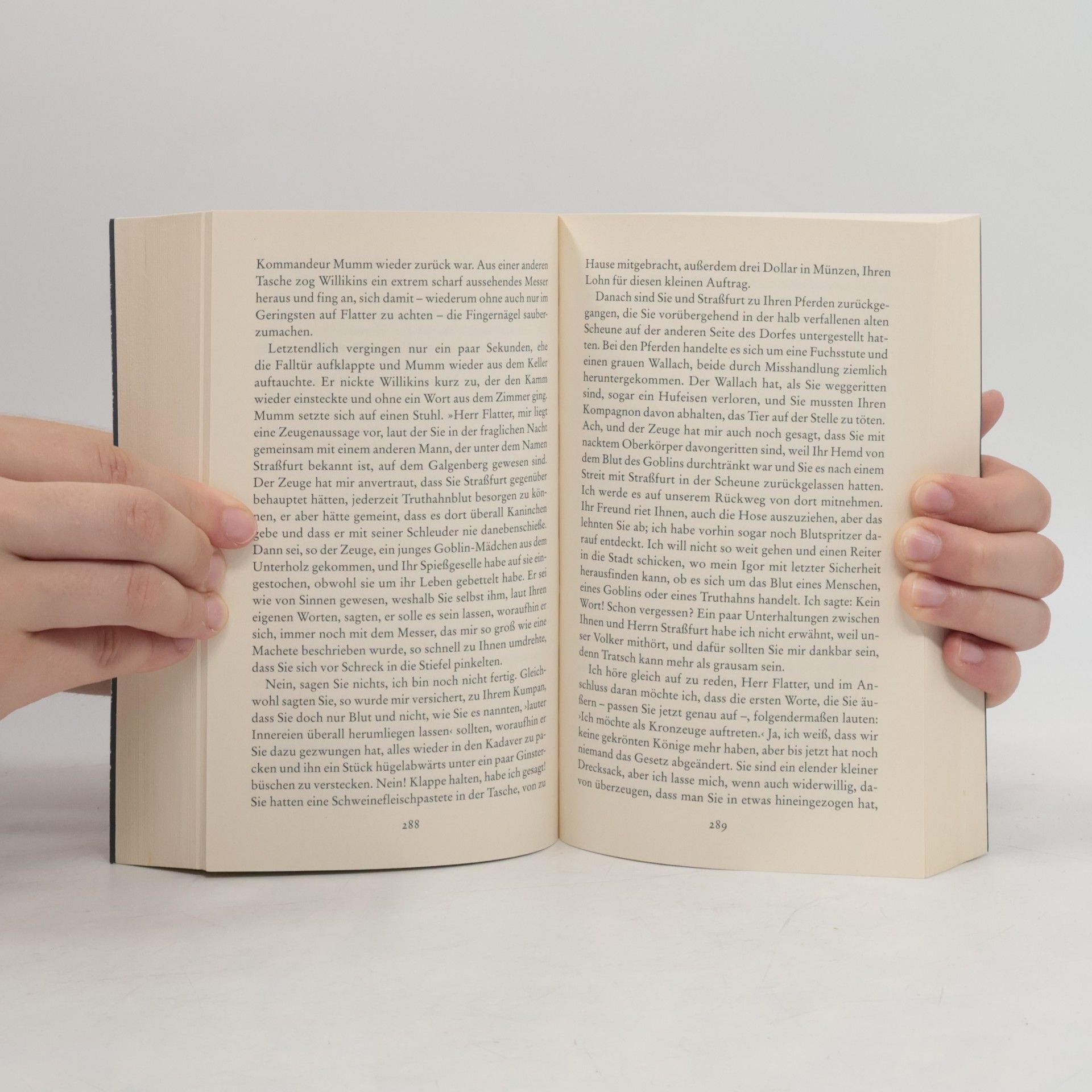 Terry Pratchett Steife Prise