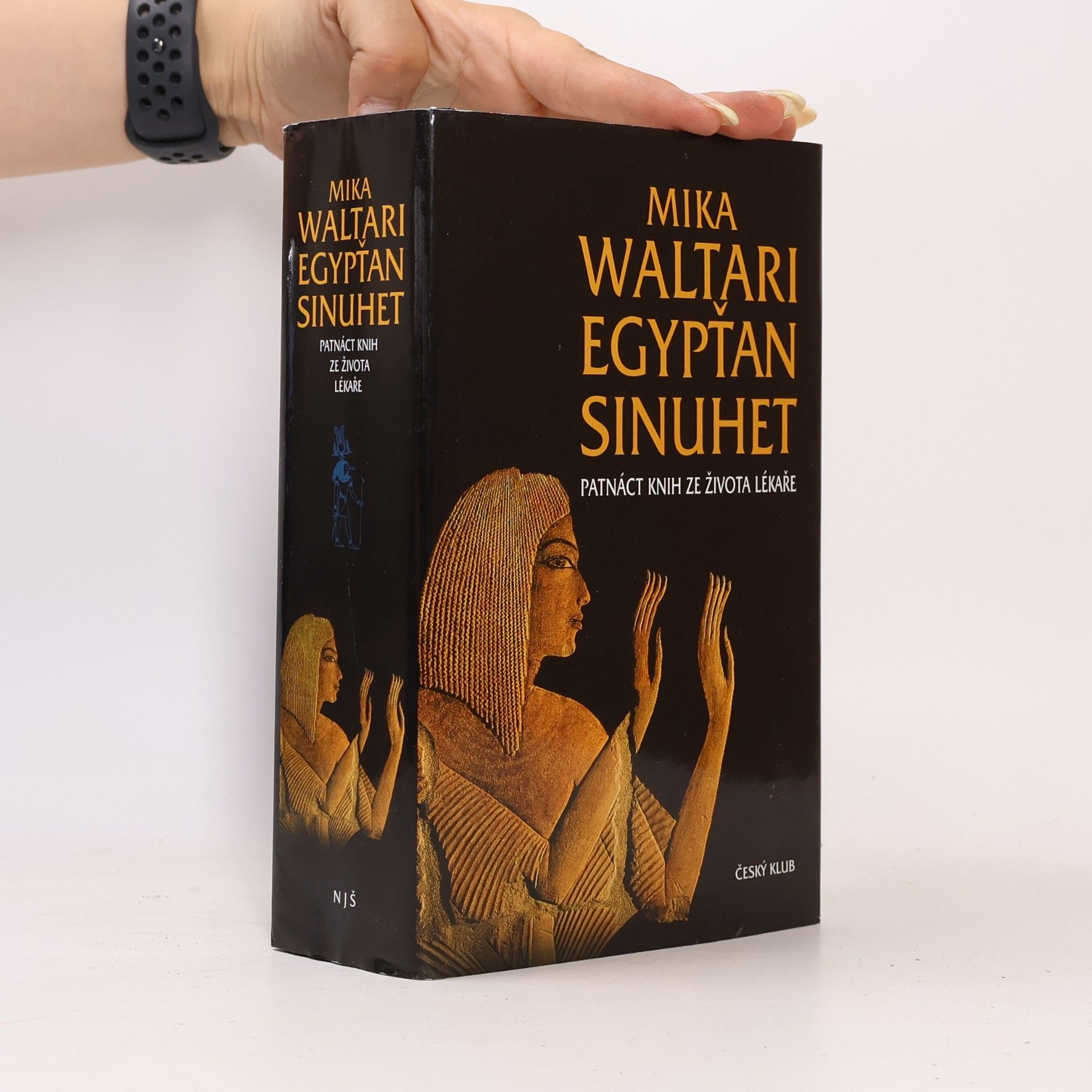 Mika Waltari Egypťan Sinuhet : patnáct knih ze života lékaře