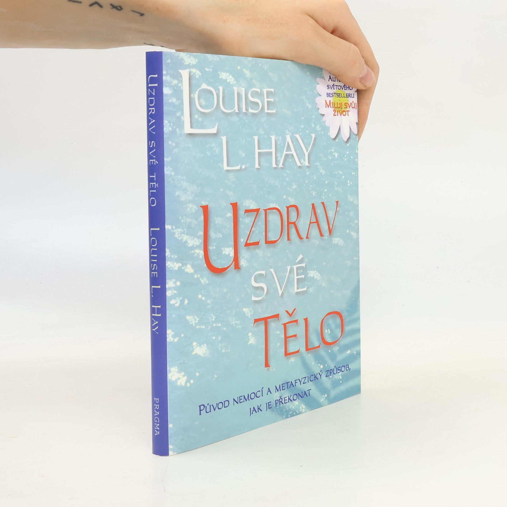 Louise Lynn Hay Uzdrav své tělo: Původ nemocí a metafyzický způsob, jak je překonat
