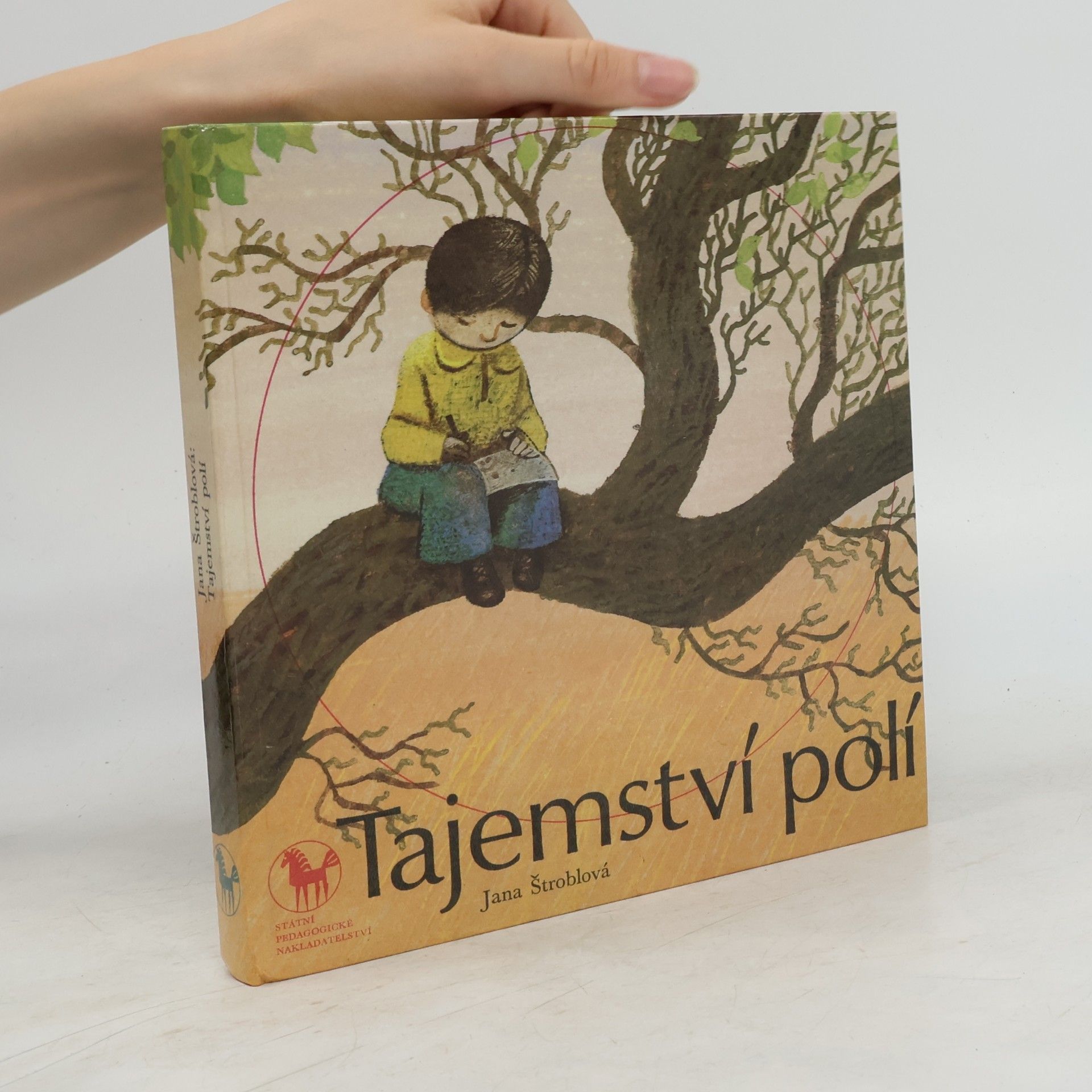 Jana Štroblová Tajemství polí