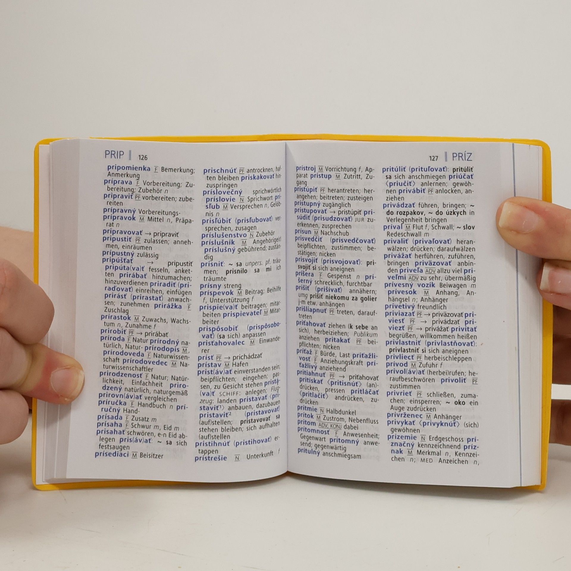 Susanne Brudermüller Langenscheidt, Universal-Wörterbuch Slowakisch