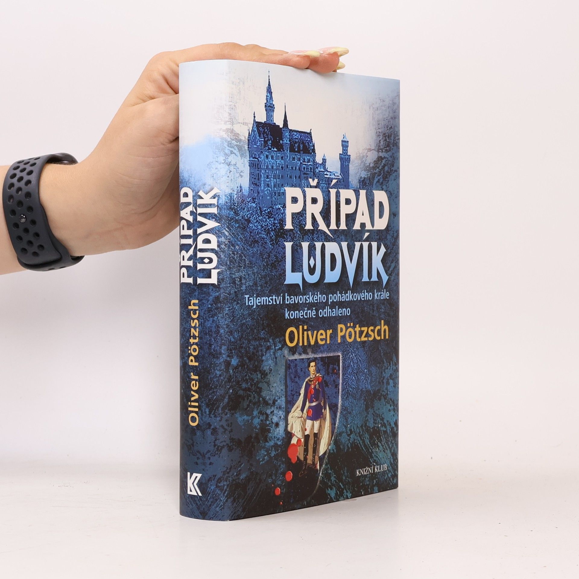 Oliver Pötzsch Případ Ludvík : tajemství bavorského pohádkového krále konečně odhaleno
