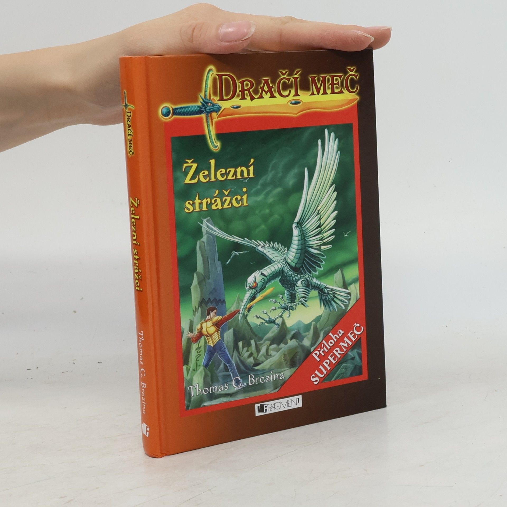Thomas Brezina Dračí meč: Železní strážci
