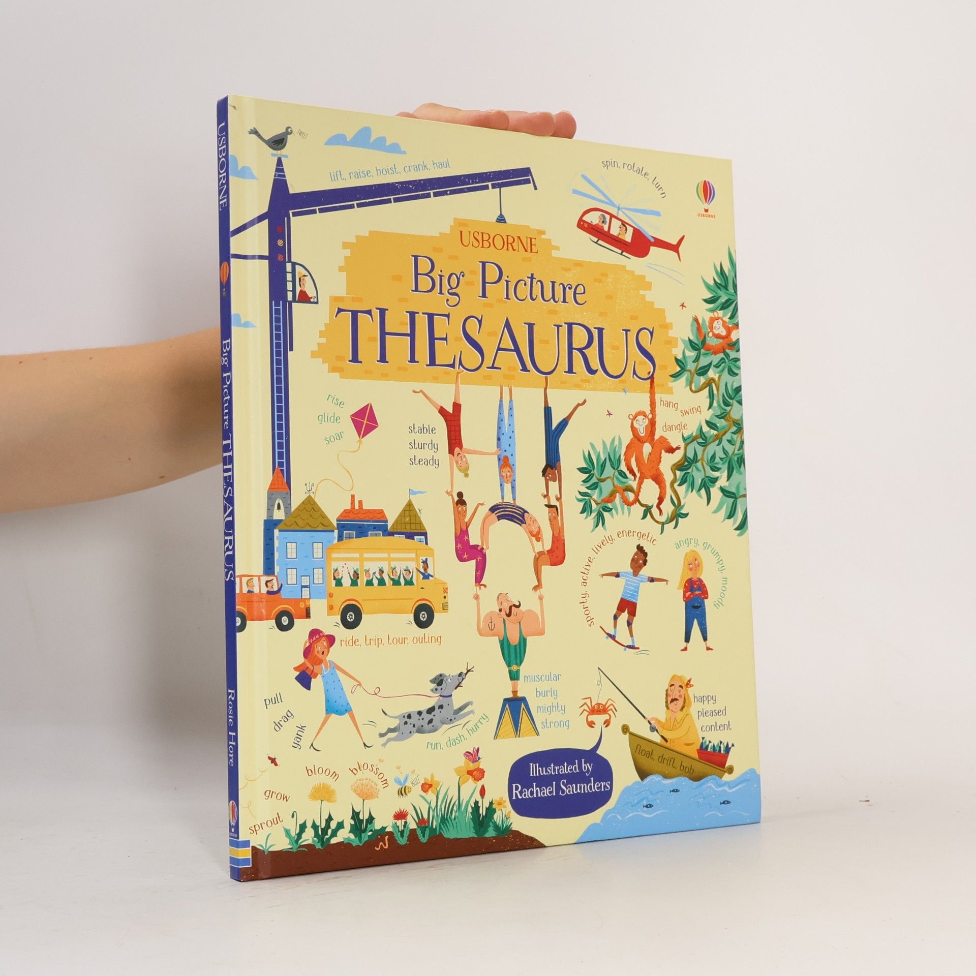 Rosie Hore Big Picture Thesaurus