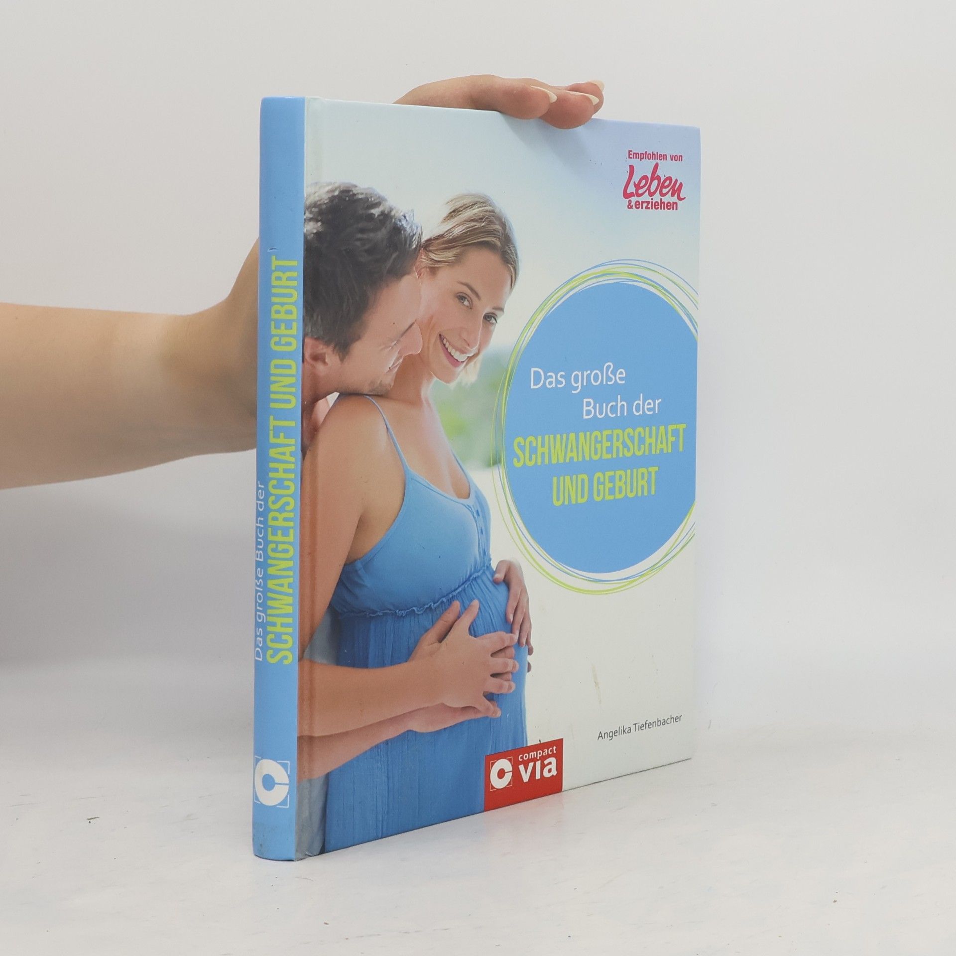Angelika Tiefenbacher Das große Buch der Schwangerschaft und Geburt