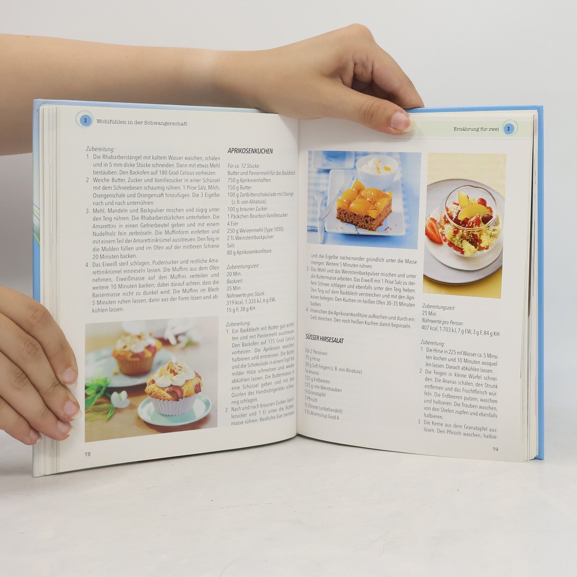 Angelika Tiefenbacher Das große Buch der Schwangerschaft und Geburt