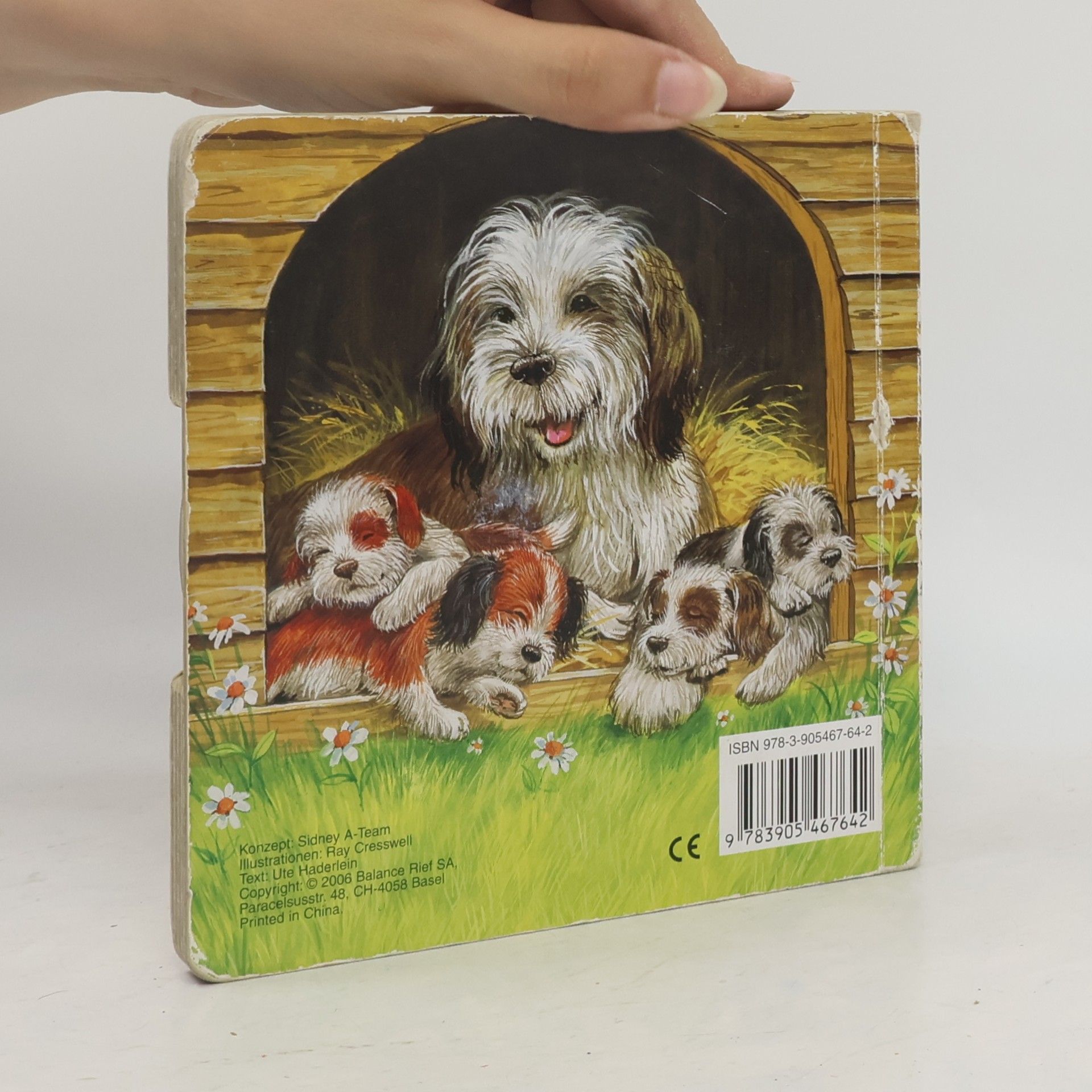 Ute Haderlein Mein Dreh- und Suchbilderbuch : Versteckspiel mit zwei kleinen Hunden