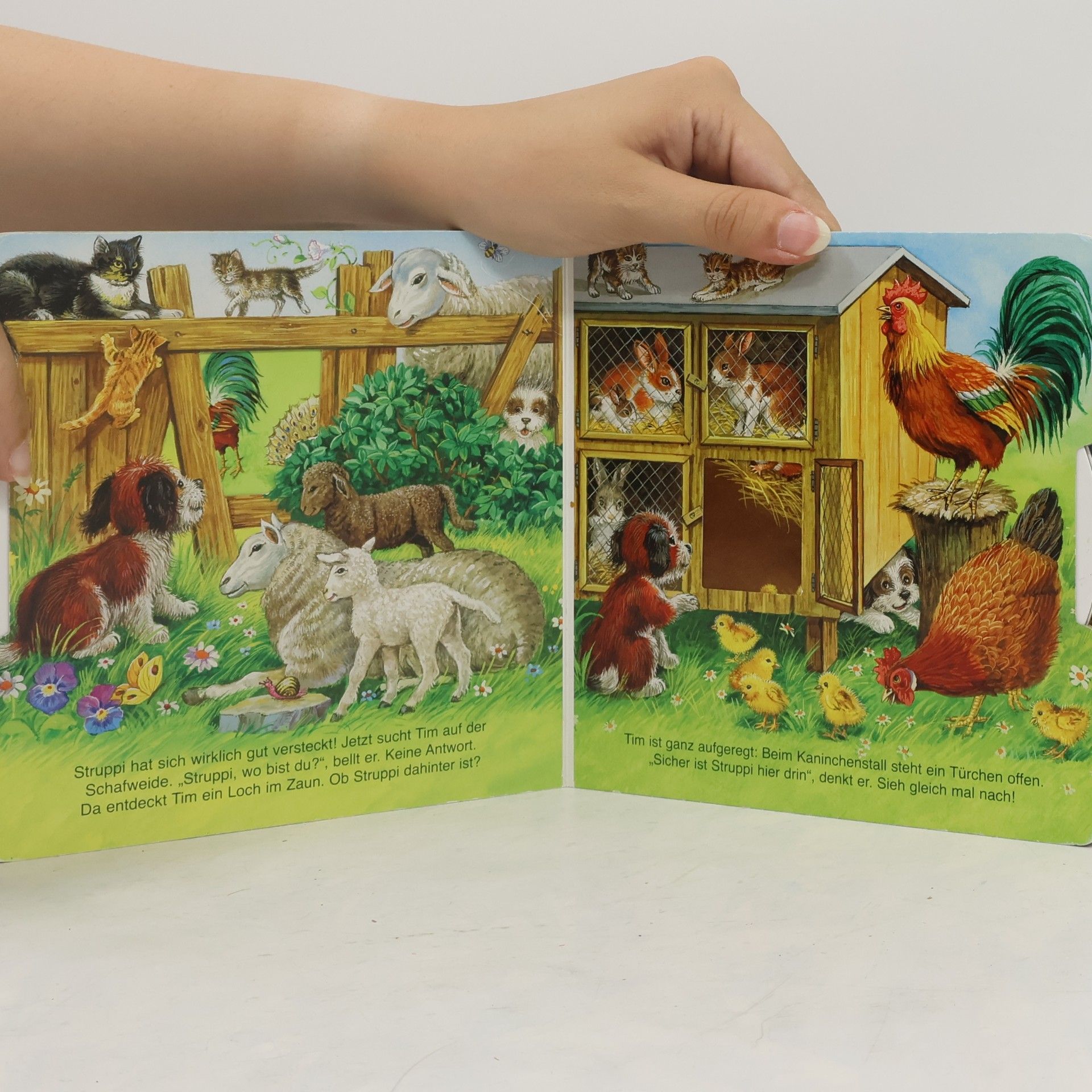 Ute Haderlein Mein Dreh- und Suchbilderbuch : Versteckspiel mit zwei kleinen Hunden