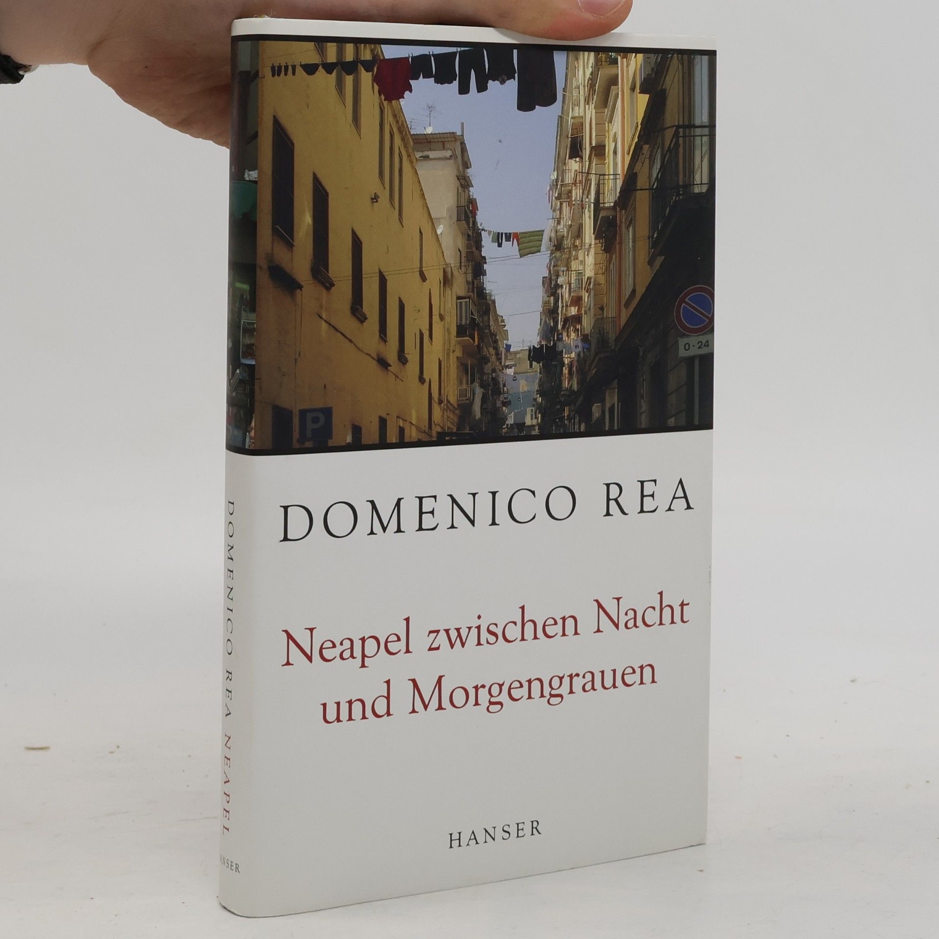 Domenico Rea Neapel zwischen Nacht und Morgengrauen