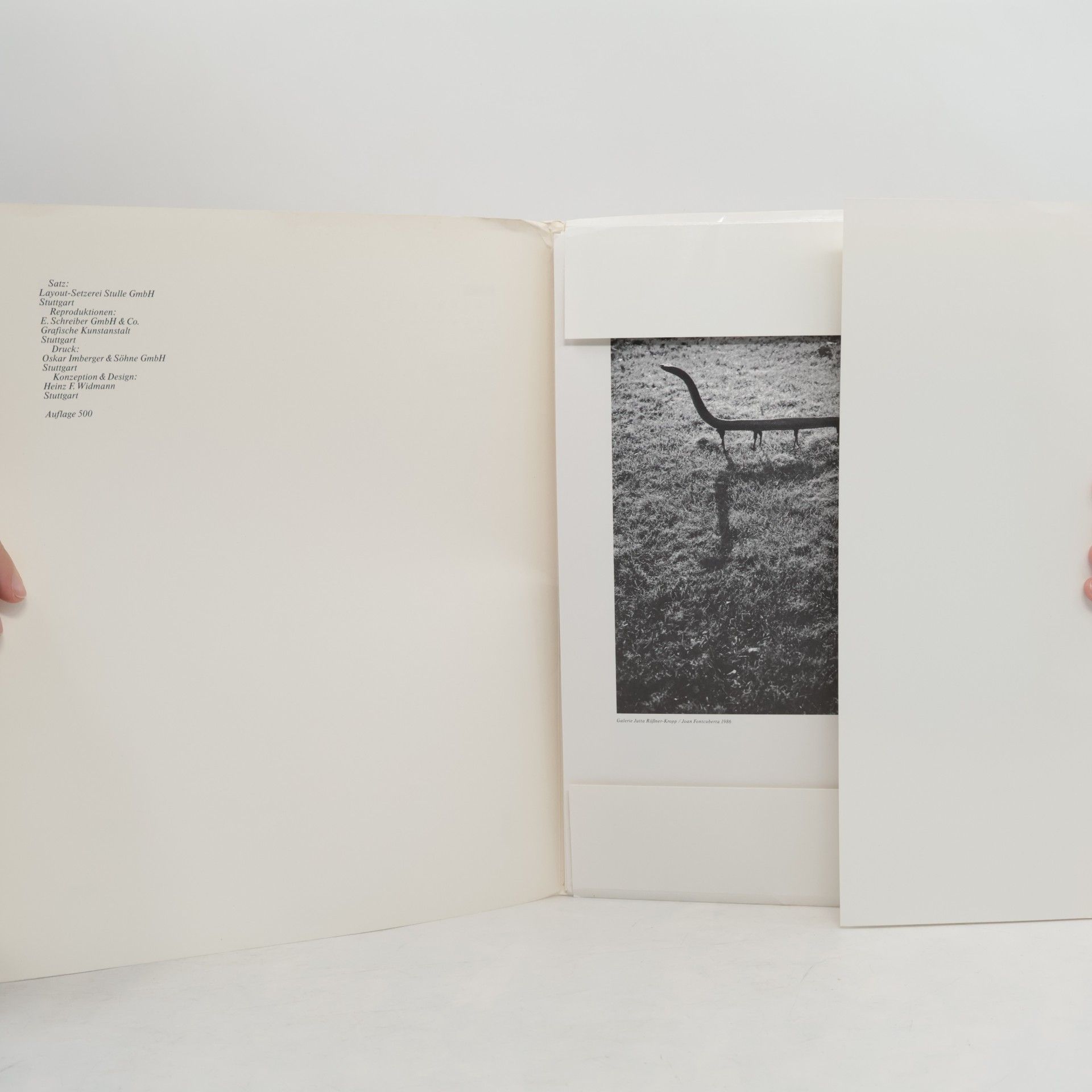 kolektiv Fotografie